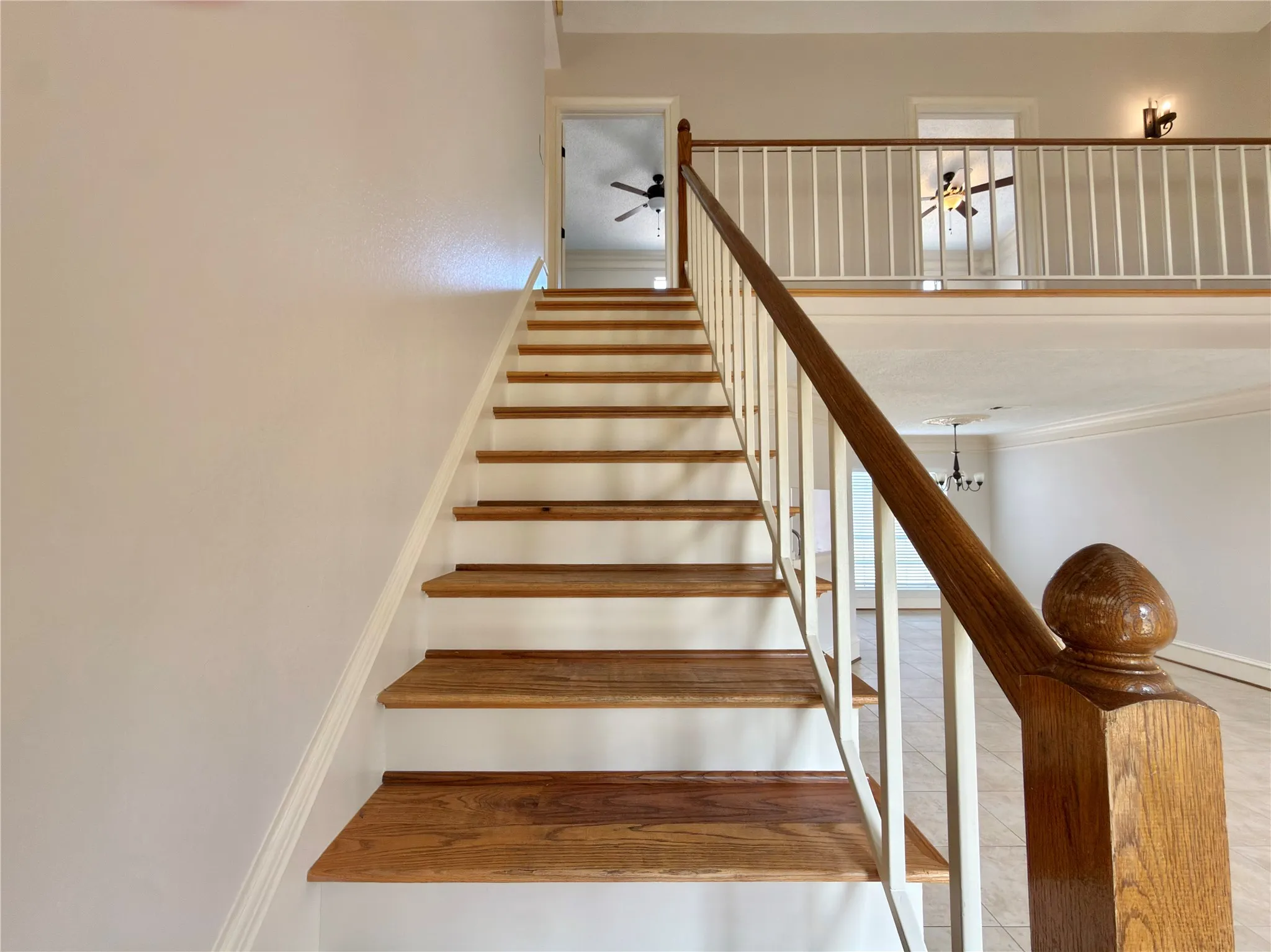 Wood-finish staircase with white risers and a matching wood handrail