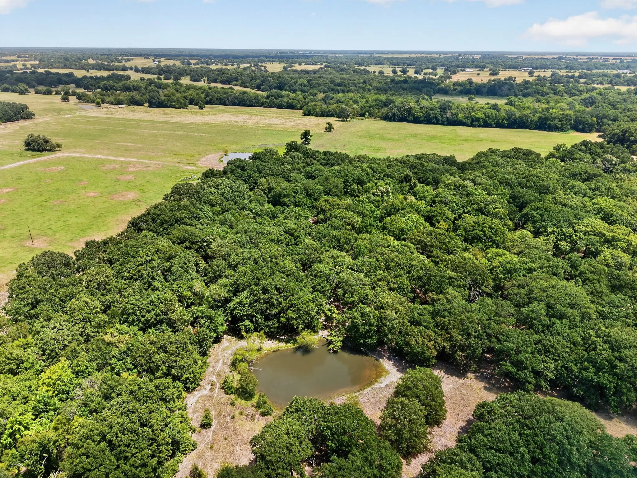 Unimproved Land For Sale in Hunt County , TBD County Road 4816, Wolfe City, Texas 75496, 0, 0, Garage spaces, 0 Sqft, built in 1960, mls#21375409, Real Estate Agent in Wolfe City, Homes For Sale in Hunt county, Homes For Sale in Wolfe City, Realtor in Wolfe City Texas, Real Estate Brokerage Independent Realty Texas, Luminita Cordes Realtor