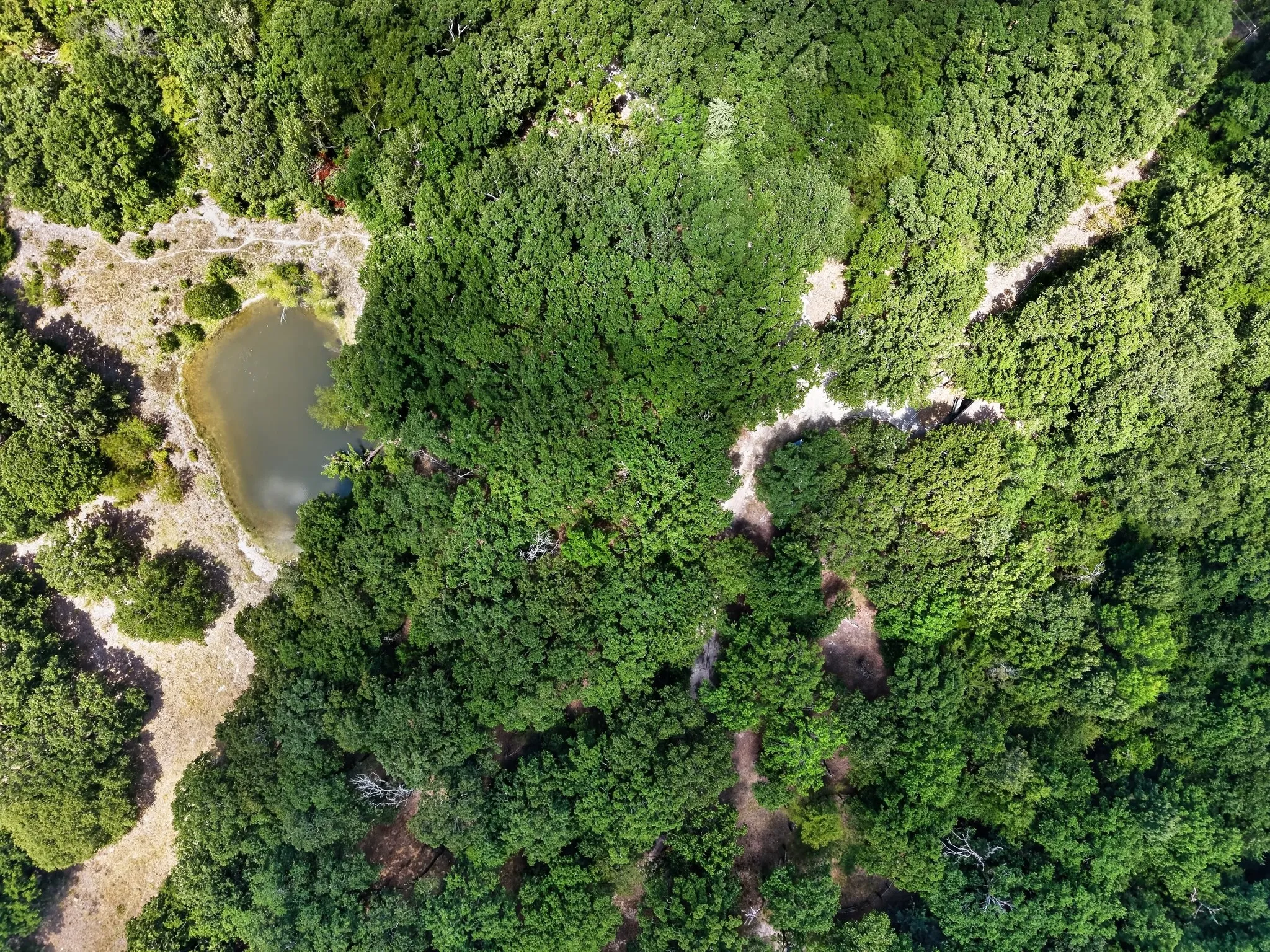 Unimproved Land For Sale in Hunt County , TBD County Road 4816, Wolfe City, Texas 75496, 0, 0, Garage spaces, 0 Sqft, built in 1960, mls#21375409, Real Estate Agent in Wolfe City, Homes For Sale in Hunt county, Homes For Sale in Wolfe City, Realtor in Wolfe City Texas, Real Estate Brokerage Independent Realty Texas, Luminita Cordes Realtor