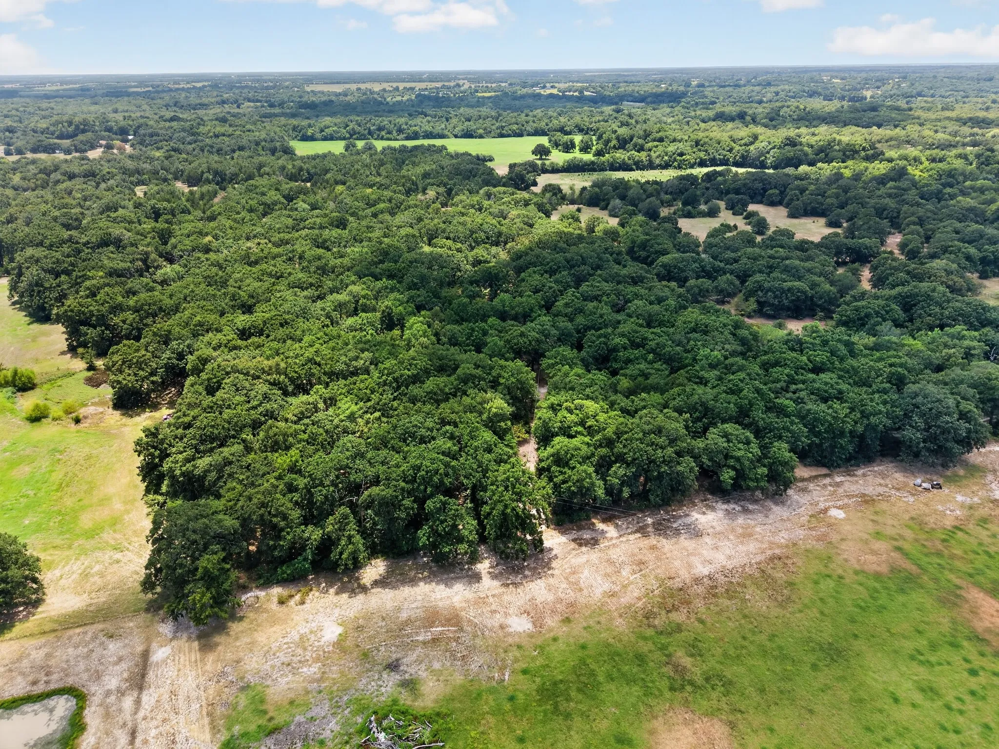 Unimproved Land For Sale in Hunt County , TBD County Road 4816, Wolfe City, Texas 75496, 0, 0, Garage spaces, 0 Sqft, built in 1960, mls#21375409, Real Estate Agent in Wolfe City, Homes For Sale in Hunt county, Homes For Sale in Wolfe City, Realtor in Wolfe City Texas, Real Estate Brokerage Independent Realty Texas, Luminita Cordes Realtor