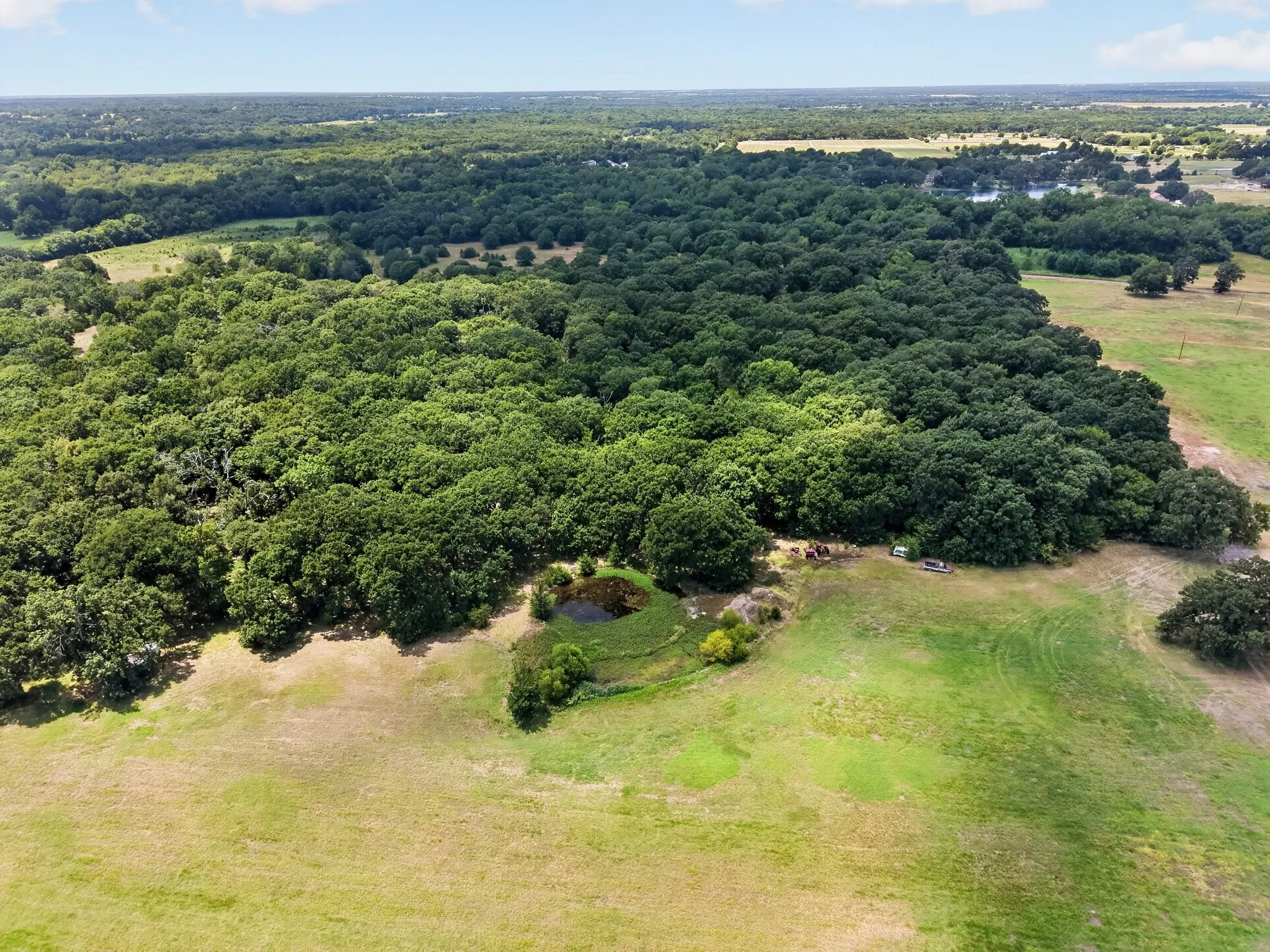 Unimproved Land For Sale in Hunt County , TBD County Road 4816, Wolfe City, Texas 75496, 0, 0, Garage spaces, 0 Sqft, built in 1960, mls#21375409, Real Estate Agent in Wolfe City, Homes For Sale in Hunt county, Homes For Sale in Wolfe City, Realtor in Wolfe City Texas, Real Estate Brokerage Independent Realty Texas, Luminita Cordes Realtor