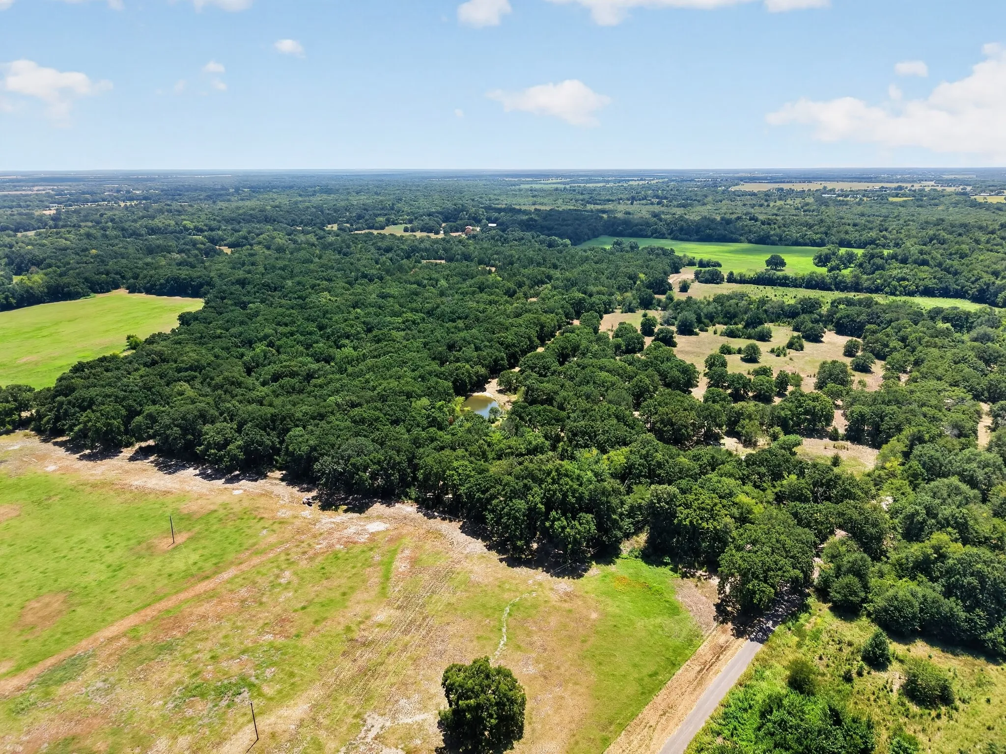 Unimproved Land For Sale in Hunt County , TBD County Road 4816, Wolfe City, Texas 75496, 0, 0, Garage spaces, 0 Sqft, built in 1960, mls#21375409, Real Estate Agent in Wolfe City, Homes For Sale in Hunt county, Homes For Sale in Wolfe City, Realtor in Wolfe City Texas, Real Estate Brokerage Independent Realty Texas, Luminita Cordes Realtor