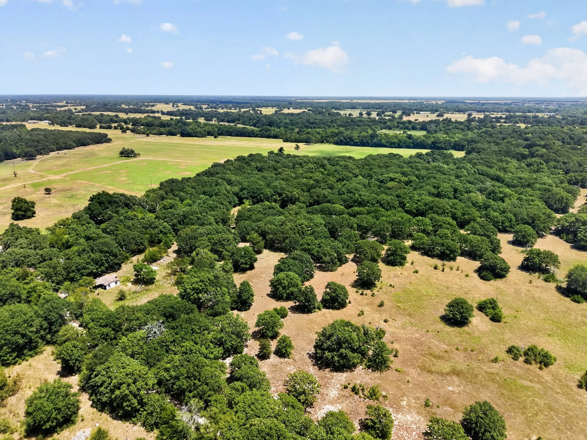 Unimproved Land For Sale in Hunt County , TBD County Road 4816, Wolfe City, Texas 75496, 0, 0, Garage spaces, 0 Sqft, built in 1960, mls#21375409, Real Estate Agent in Wolfe City, Homes For Sale in Hunt county, Homes For Sale in Wolfe City, Realtor in Wolfe City Texas, Real Estate Brokerage Independent Realty Texas, Luminita Cordes Realtor