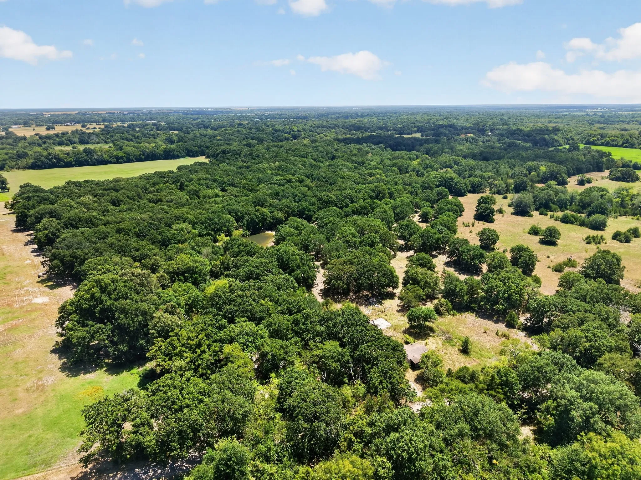 Unimproved Land For Sale in Hunt County , TBD County Road 4816, Wolfe City, Texas 75496, 0, 0, Garage spaces, 0 Sqft, built in 1960, mls#21375409, Real Estate Agent in Wolfe City, Homes For Sale in Hunt county, Homes For Sale in Wolfe City, Realtor in Wolfe City Texas, Real Estate Brokerage Independent Realty Texas, Luminita Cordes Realtor