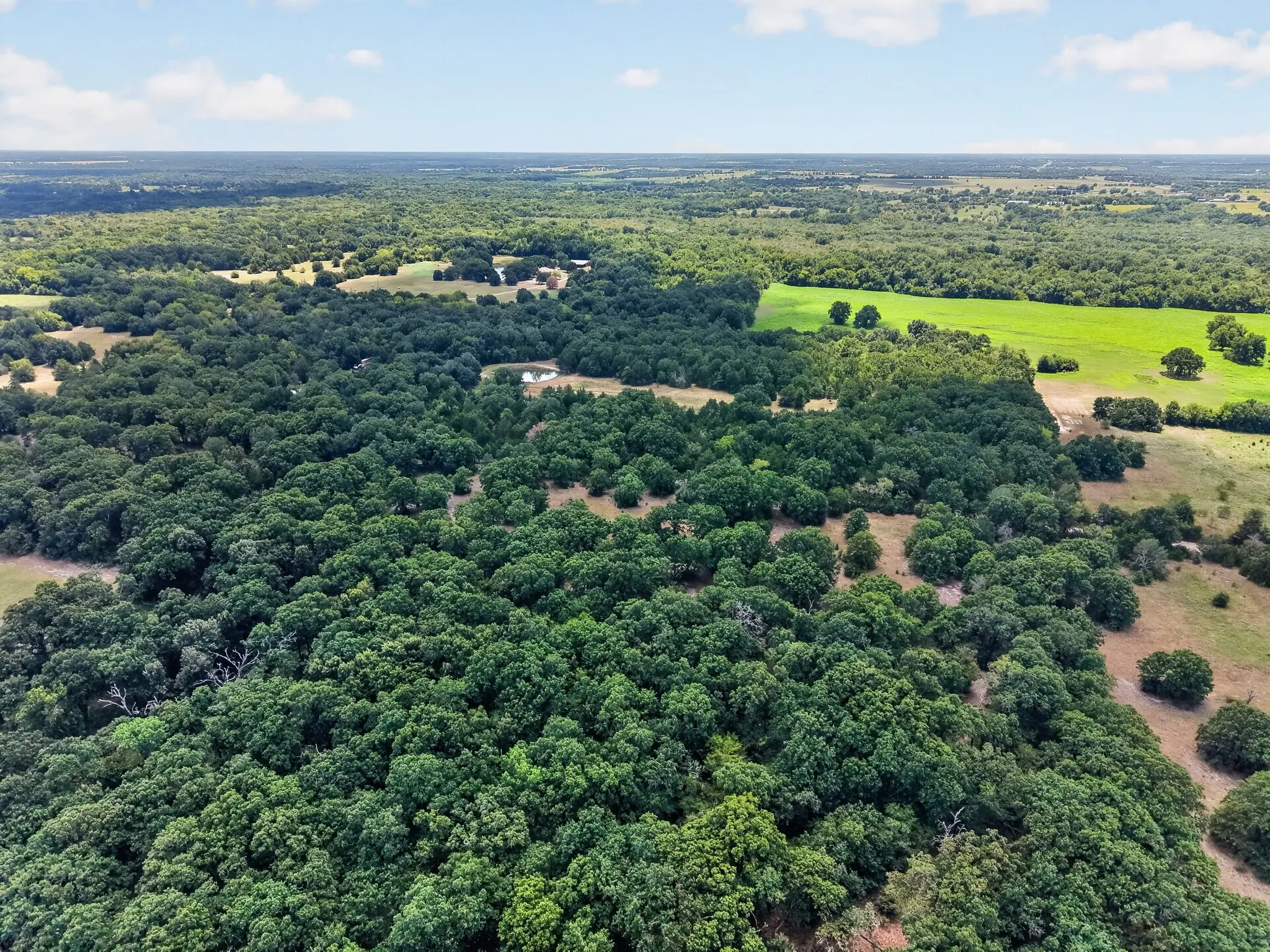Unimproved Land For Sale in Hunt County , TBD County Road 4816, Wolfe City, Texas 75496, 0, 0, Garage spaces, 0 Sqft, built in 1960, mls#21375409, Real Estate Agent in Wolfe City, Homes For Sale in Hunt county, Homes For Sale in Wolfe City, Realtor in Wolfe City Texas, Real Estate Brokerage Independent Realty Texas, Luminita Cordes Realtor