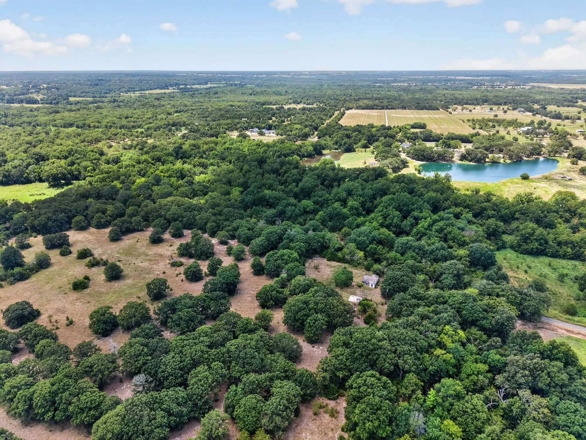 Unimproved Land For Sale in Hunt County , TBD County Road 4816, Wolfe City, Texas 75496, 0, 0, Garage spaces, 0 Sqft, built in 1960, mls#21375409, Real Estate Agent in Wolfe City, Homes For Sale in Hunt county, Homes For Sale in Wolfe City, Realtor in Wolfe City Texas, Real Estate Brokerage Independent Realty Texas, Luminita Cordes Realtor
