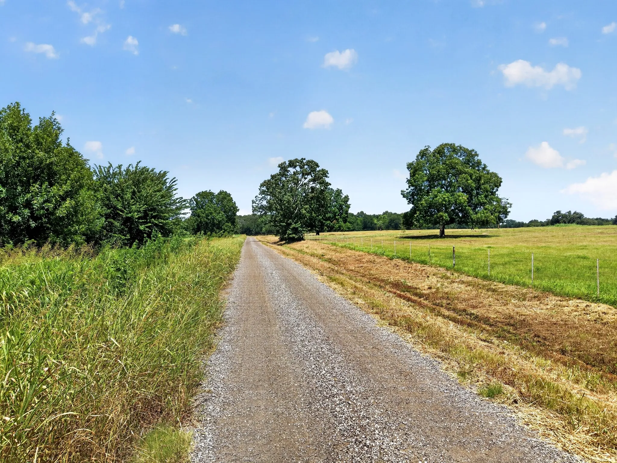 Unimproved Land For Sale in Hunt County , TBD County Road 4816, Wolfe City, Texas 75496, 0, 0, Garage spaces, 0 Sqft, built in 1960, mls#21375409, Real Estate Agent in Wolfe City, Homes For Sale in Hunt county, Homes For Sale in Wolfe City, Realtor in Wolfe City Texas, Real Estate Brokerage Independent Realty Texas, Luminita Cordes Realtor