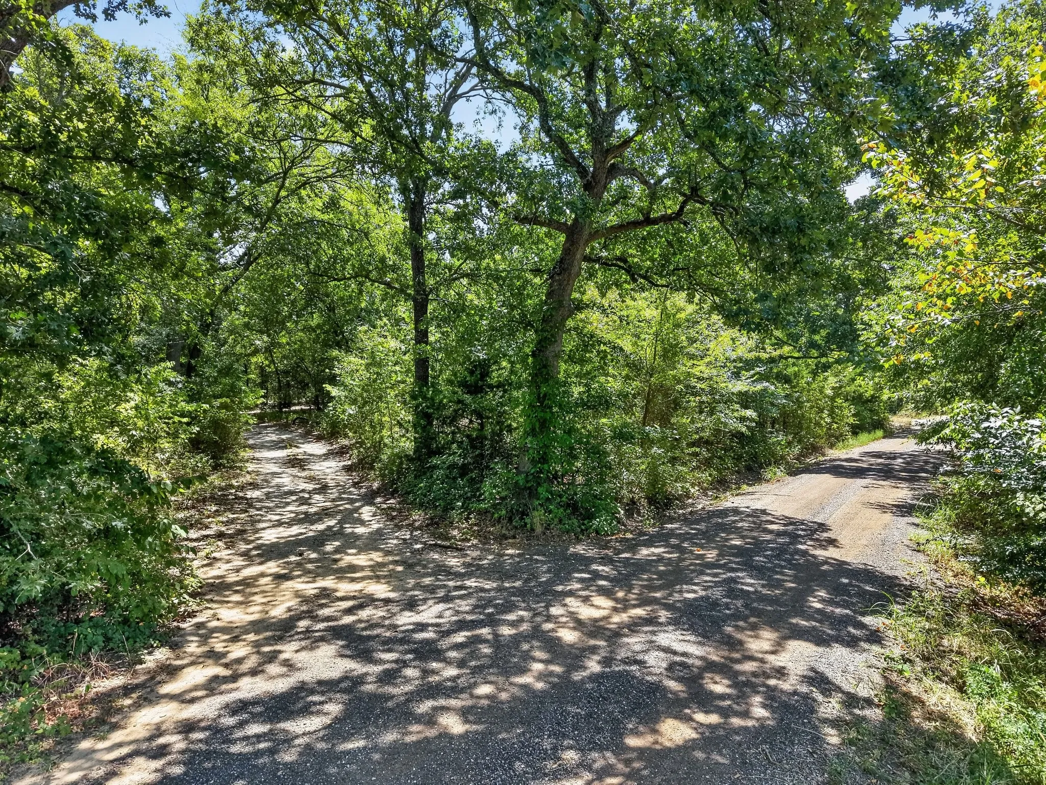 Unimproved Land For Sale in Hunt County , TBD County Road 4816, Wolfe City, Texas 75496, 0, 0, Garage spaces, 0 Sqft, built in 1960, mls#21375409, Real Estate Agent in Wolfe City, Homes For Sale in Hunt county, Homes For Sale in Wolfe City, Realtor in Wolfe City Texas, Real Estate Brokerage Independent Realty Texas, Luminita Cordes Realtor