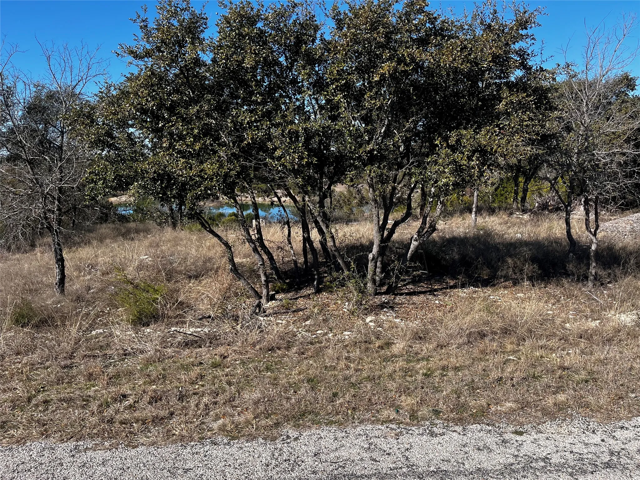 Improved Land For Sale in Erath County , 384 Anglers Point, Bluff Dale, Texas 76433, 0, 0, Garage spaces, 0 Sqft, built in 0, mls#21375139, Real Estate Agent in Bluff Dale, Homes For Sale in Erath county, Homes For Sale in Bluff Dale, Realtor in Bluff Dale Texas, Real Estate Brokerage Independent Realty Texas, Luminita Cordes Realtor