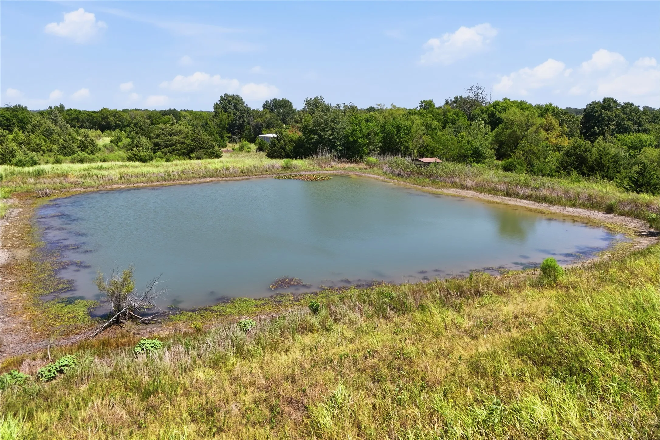 Single Family Residence For Sale in Delta County , 14026 Fm 128, Cooper, Texas 75432, 2 Bedroom, 1 Bathroom, 2 Garage spaces, 1,581 Sqft, built in 1900, mls#21356857, Real Estate Agent in Cooper, Homes For Sale in Delta county, Homes For Sale in Cooper, Realtor in Cooper Texas, Real Estate Brokerage Independent Realty Texas, Luminita Cordes Realtor