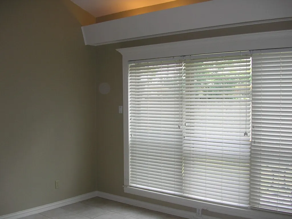 Window wall to back yard, vaulted ceiling