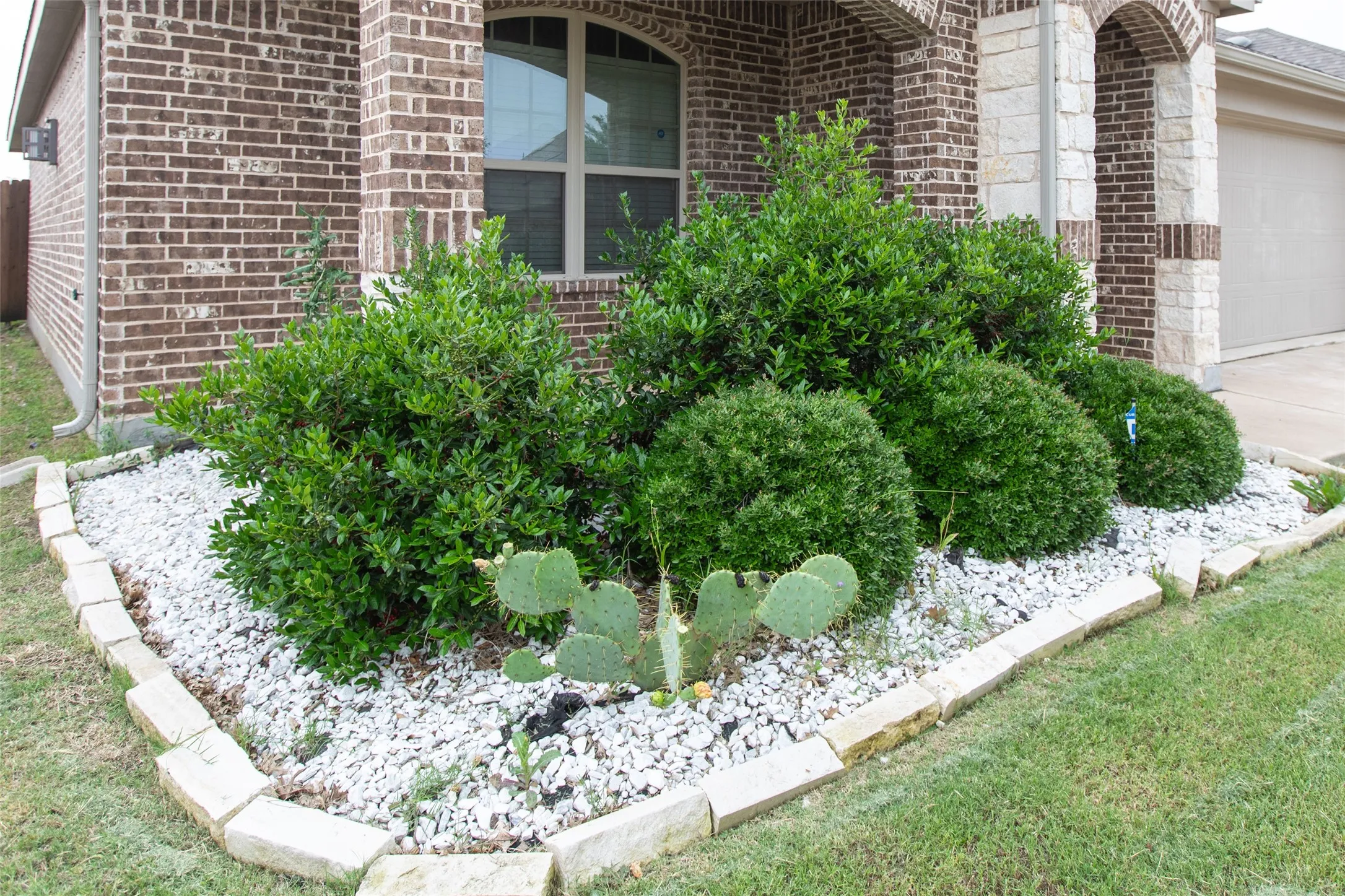 Single Family Residence For Rent in Collin County , 905 Silverbell Street, Princeton, Texas 75407, 3 Bedroom, 2 Bathroom, 2 Garage spaces, 1,445 Sqft, built in 2018, mls#21375499, Real Estate Agent in Princeton, Homes For Rent in Collin county, Homes For Rent in Princeton, Realtor in Princeton Texas, Real Estate Brokerage Independent Realty Texas, Luminita Cordes Realtor