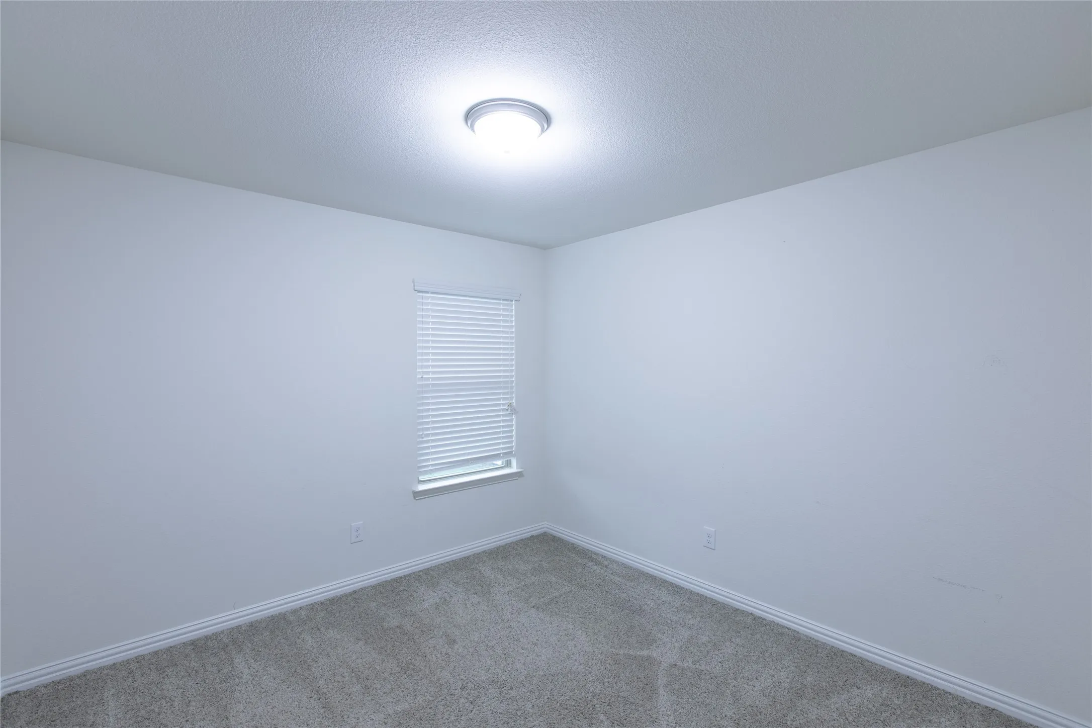 Single Family Residence For Rent in Collin County , 905 Silverbell Street, Princeton, Texas 75407, 3 Bedroom, 2 Bathroom, 2 Garage spaces, 1,445 Sqft, built in 2018, mls#21375499, Real Estate Agent in Princeton, Homes For Rent in Collin county, Homes For Rent in Princeton, Realtor in Princeton Texas, Real Estate Brokerage Independent Realty Texas, Luminita Cordes Realtor