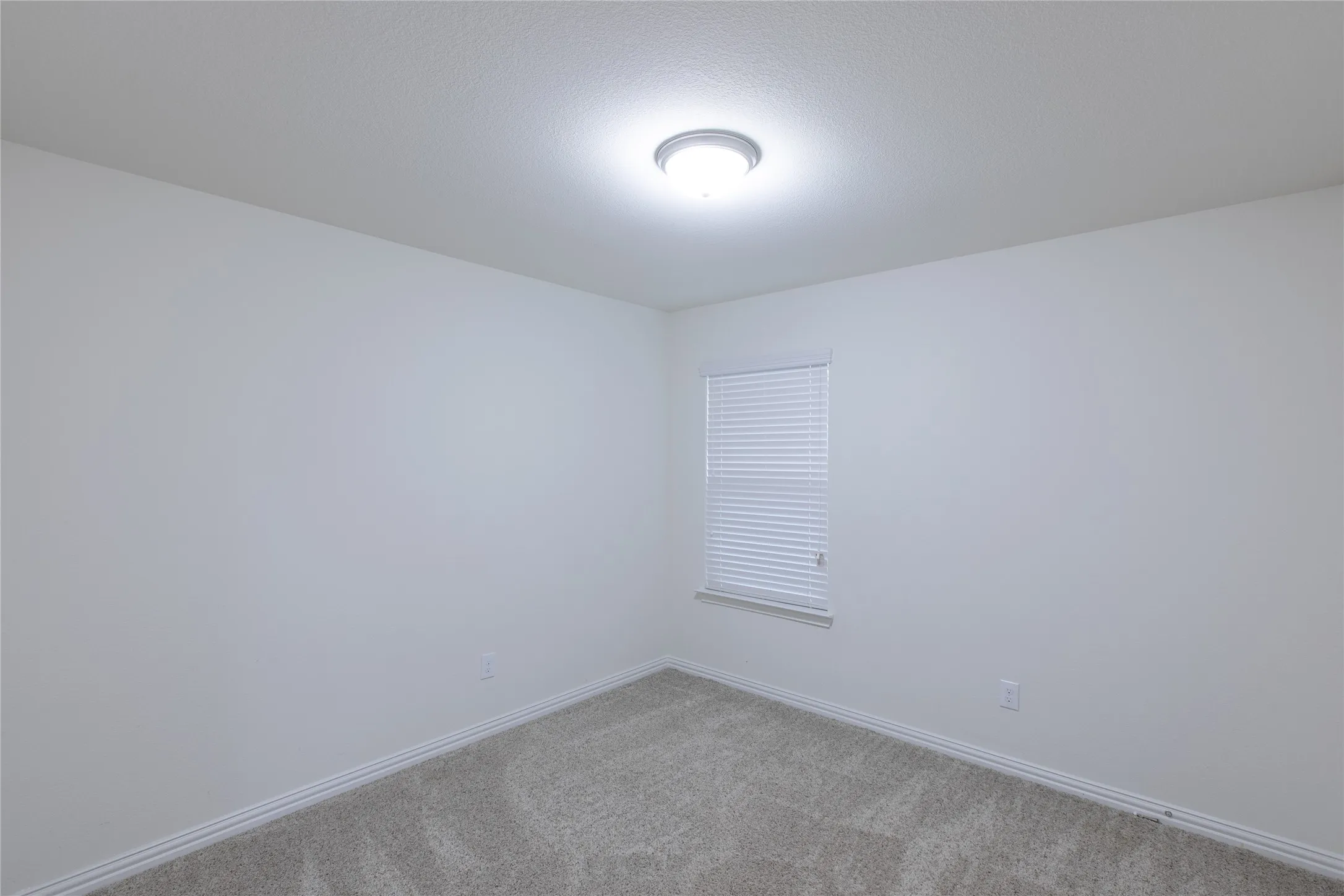Single Family Residence For Rent in Collin County , 905 Silverbell Street, Princeton, Texas 75407, 3 Bedroom, 2 Bathroom, 2 Garage spaces, 1,445 Sqft, built in 2018, mls#21375499, Real Estate Agent in Princeton, Homes For Rent in Collin county, Homes For Rent in Princeton, Realtor in Princeton Texas, Real Estate Brokerage Independent Realty Texas, Luminita Cordes Realtor