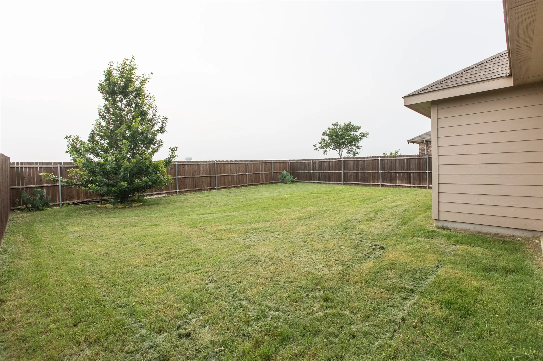 Single Family Residence For Rent in Collin County , 905 Silverbell Street, Princeton, Texas 75407, 3 Bedroom, 2 Bathroom, 2 Garage spaces, 1,445 Sqft, built in 2018, mls#21375499, Real Estate Agent in Princeton, Homes For Rent in Collin county, Homes For Rent in Princeton, Realtor in Princeton Texas, Real Estate Brokerage Independent Realty Texas, Luminita Cordes Realtor
