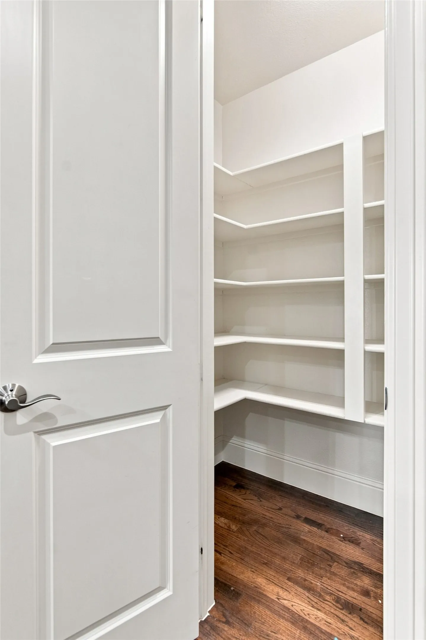 Walk-in pantry featuring extensive built-in shelving and wood-finish flooring