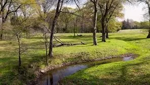 Improved Land For Sale in Fannin County , 4683 E Fm Rd 1396, Telephone, Texas 75488, 0, 0, Garage spaces, 0 Sqft, built in 0, mls#21374392, Real Estate Agent in Telephone, Homes For Sale in Fannin county, Homes For Sale in Telephone, Realtor in Telephone Texas, Real Estate Brokerage Independent Realty Texas, Luminita Cordes Realtor