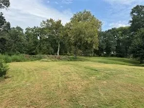 Improved Land For Sale in Fannin County , 4683 E Fm Rd 1396, Telephone, Texas 75488, 0, 0, Garage spaces, 0 Sqft, built in 0, mls#21374392, Real Estate Agent in Telephone, Homes For Sale in Fannin county, Homes For Sale in Telephone, Realtor in Telephone Texas, Real Estate Brokerage Independent Realty Texas, Luminita Cordes Realtor