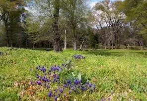 Improved Land For Sale in Fannin County , 4683 E Fm Rd 1396, Telephone, Texas 75488, 0, 0, Garage spaces, 0 Sqft, built in 0, mls#21374392, Real Estate Agent in Telephone, Homes For Sale in Fannin county, Homes For Sale in Telephone, Realtor in Telephone Texas, Real Estate Brokerage Independent Realty Texas, Luminita Cordes Realtor