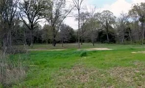 Improved Land For Sale in Fannin County , 4683 E Fm Rd 1396, Telephone, Texas 75488, 0, 0, Garage spaces, 0 Sqft, built in 0, mls#21374392, Real Estate Agent in Telephone, Homes For Sale in Fannin county, Homes For Sale in Telephone, Realtor in Telephone Texas, Real Estate Brokerage Independent Realty Texas, Luminita Cordes Realtor