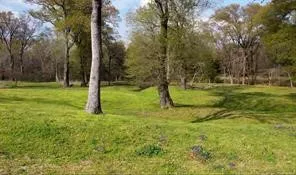 Improved Land For Sale in Fannin County , 4683 E Fm Rd 1396, Telephone, Texas 75488, 0, 0, Garage spaces, 0 Sqft, built in 0, mls#21374392, Real Estate Agent in Telephone, Homes For Sale in Fannin county, Homes For Sale in Telephone, Realtor in Telephone Texas, Real Estate Brokerage Independent Realty Texas, Luminita Cordes Realtor