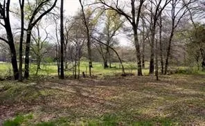 Improved Land For Sale in Fannin County , 4683 E Fm Rd 1396, Telephone, Texas 75488, 0, 0, Garage spaces, 0 Sqft, built in 0, mls#21374392, Real Estate Agent in Telephone, Homes For Sale in Fannin county, Homes For Sale in Telephone, Realtor in Telephone Texas, Real Estate Brokerage Independent Realty Texas, Luminita Cordes Realtor