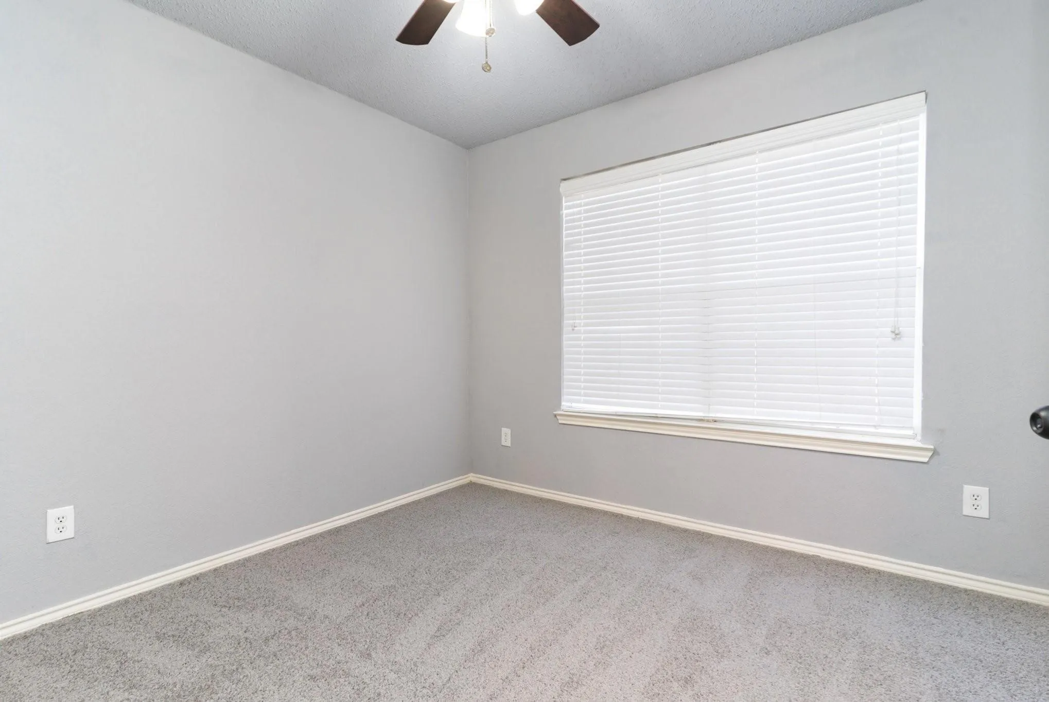 Neutral wall color, window with blinds, ceiling fan, and carpet flooring