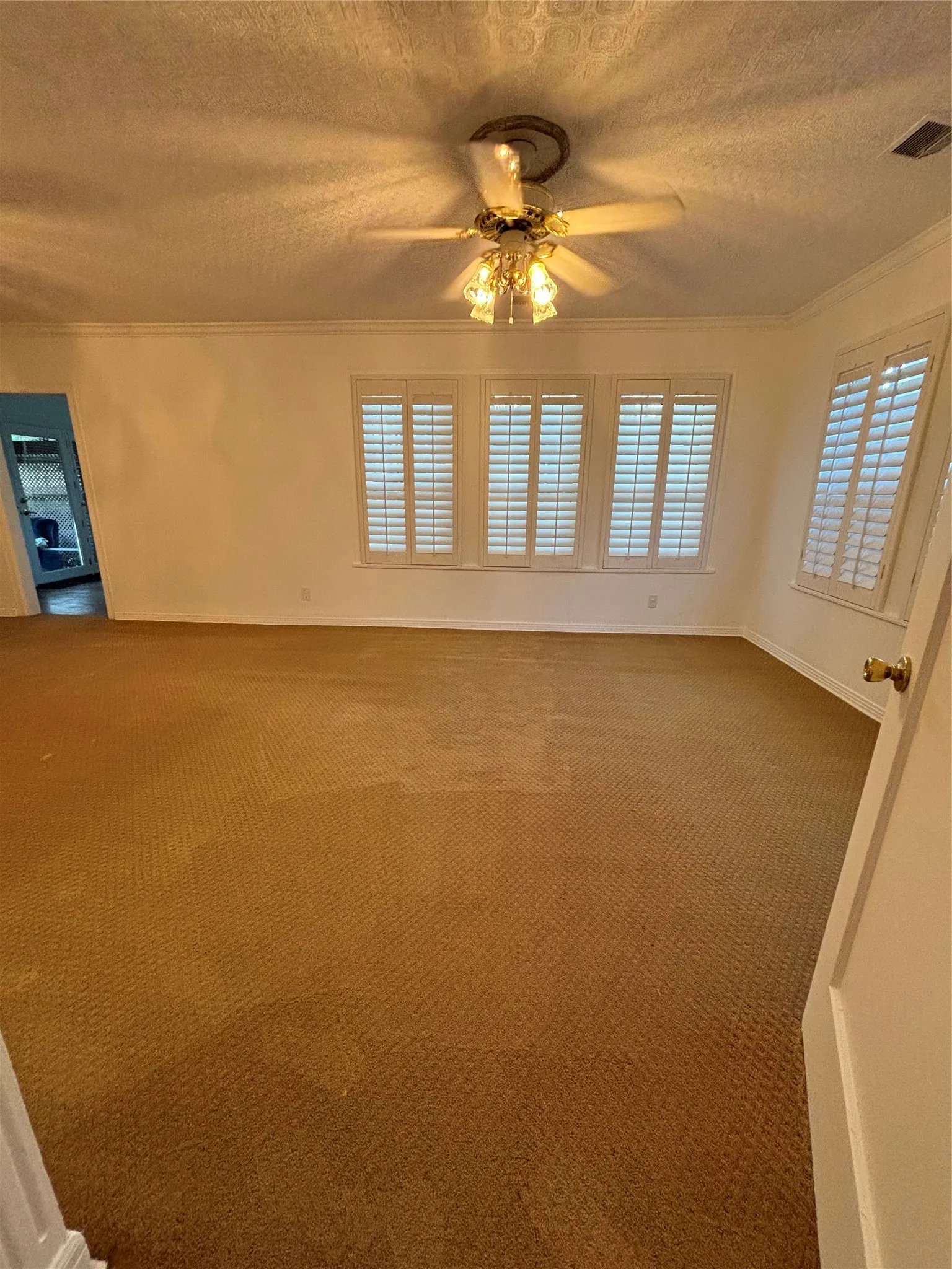 Carpeted spare room featuring a textured ceiling and crown molding