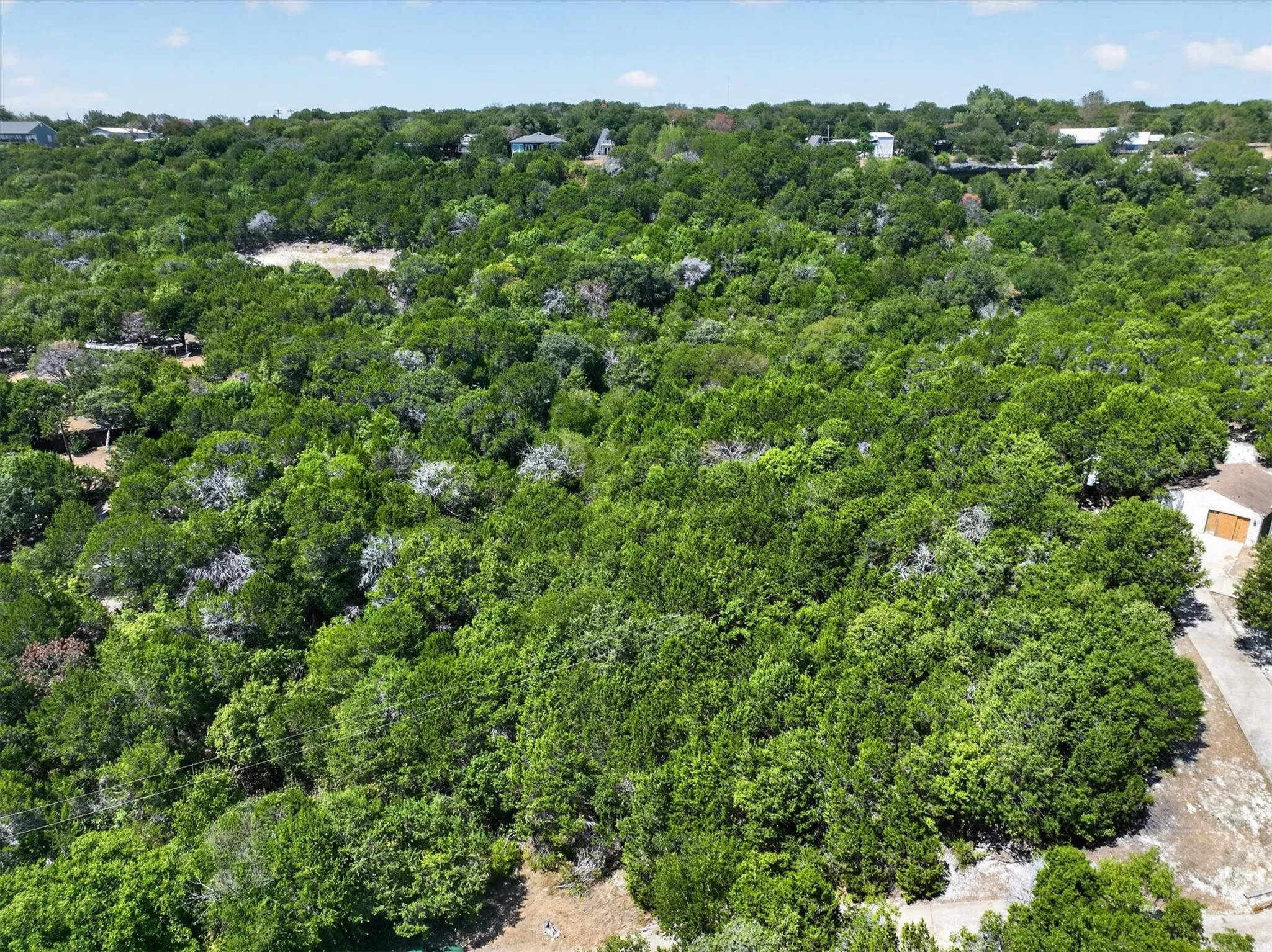 Expansive treed lot featuring mature foliage