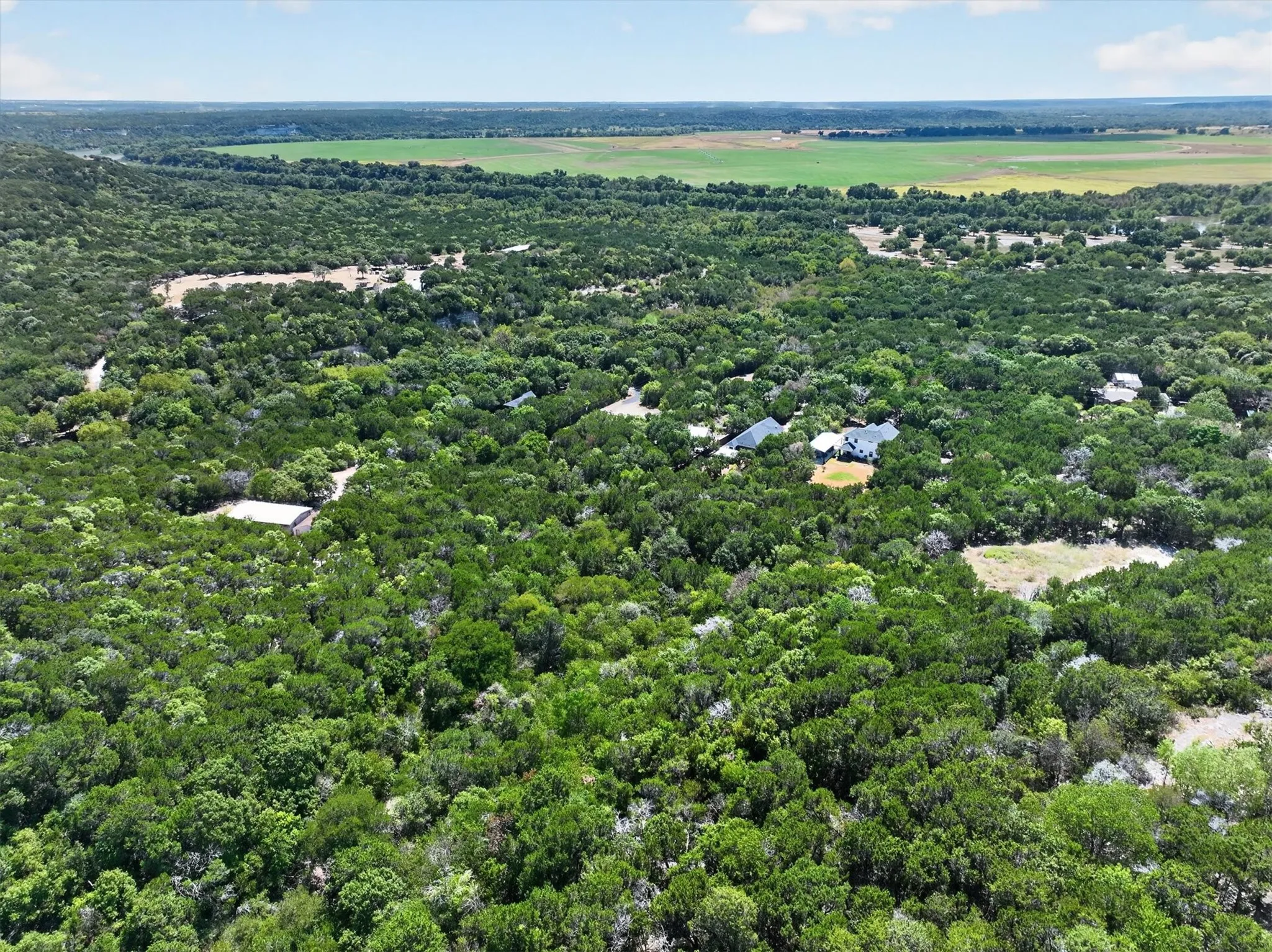 Expansive wooded acreage featuring diverse tree coverage and a distant agricultural field
