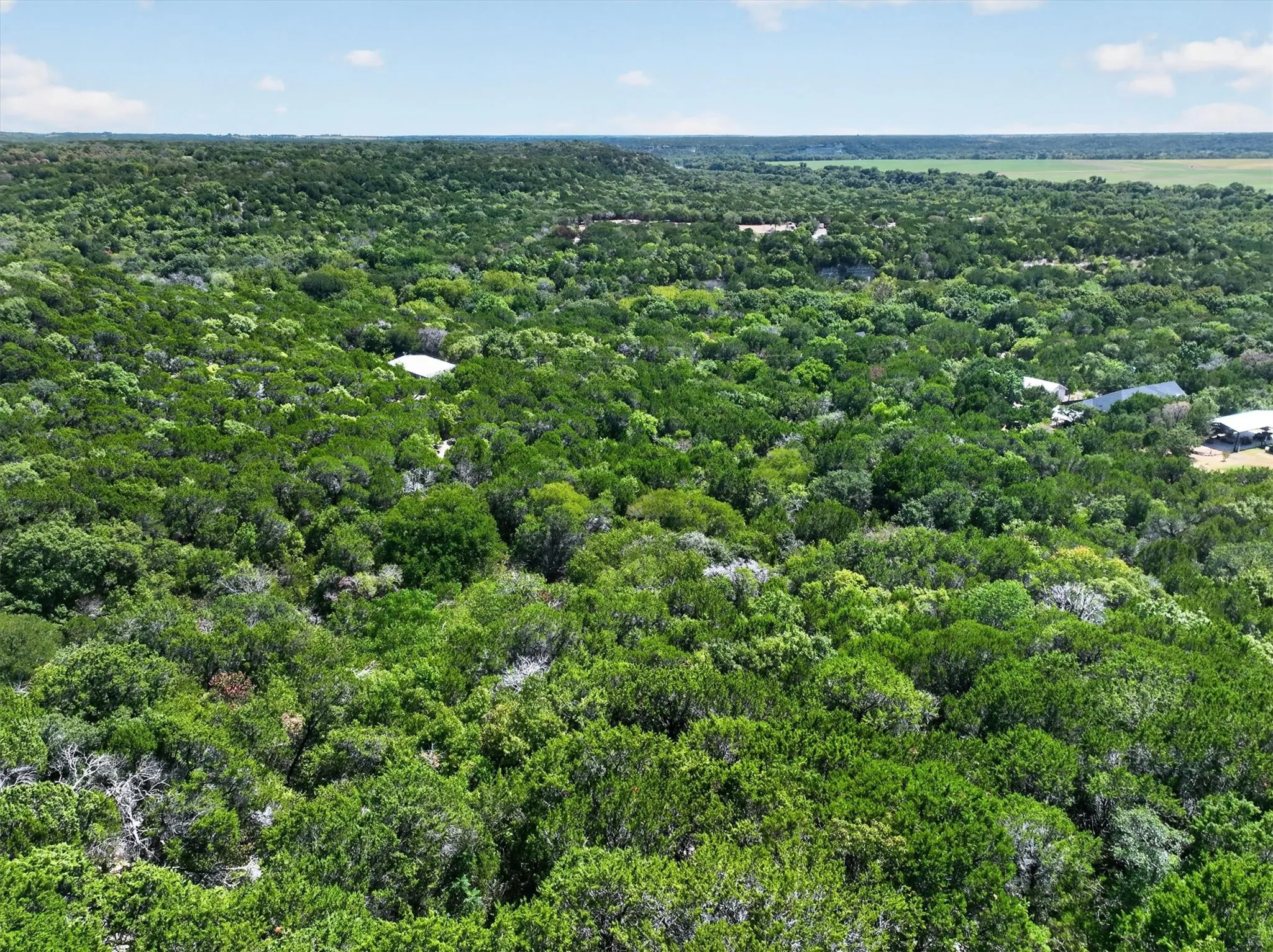 Expansive tree canopy with scattered structures and a distant open field