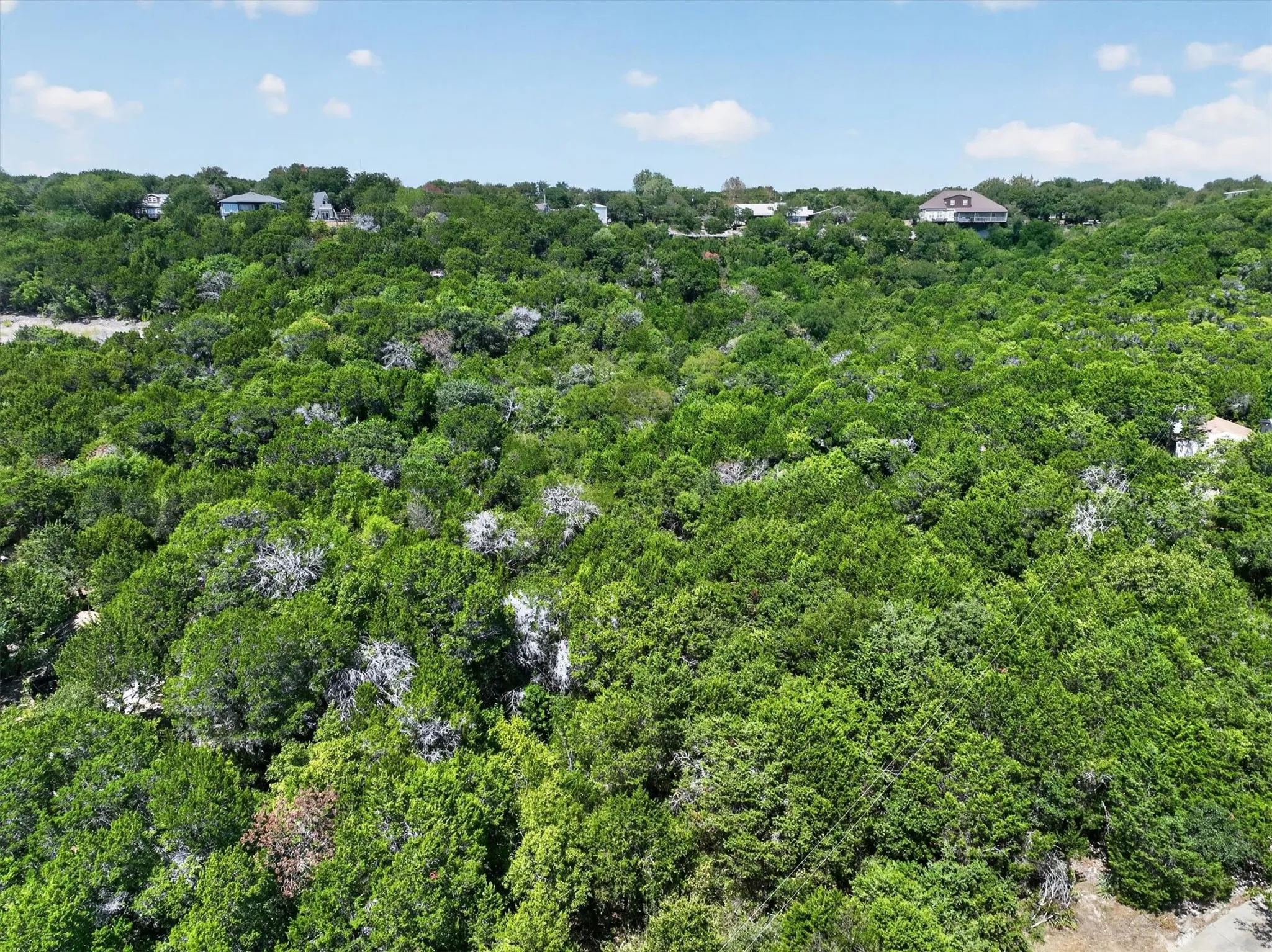 Expansive, tree-covered lot outlined, offering a private setting