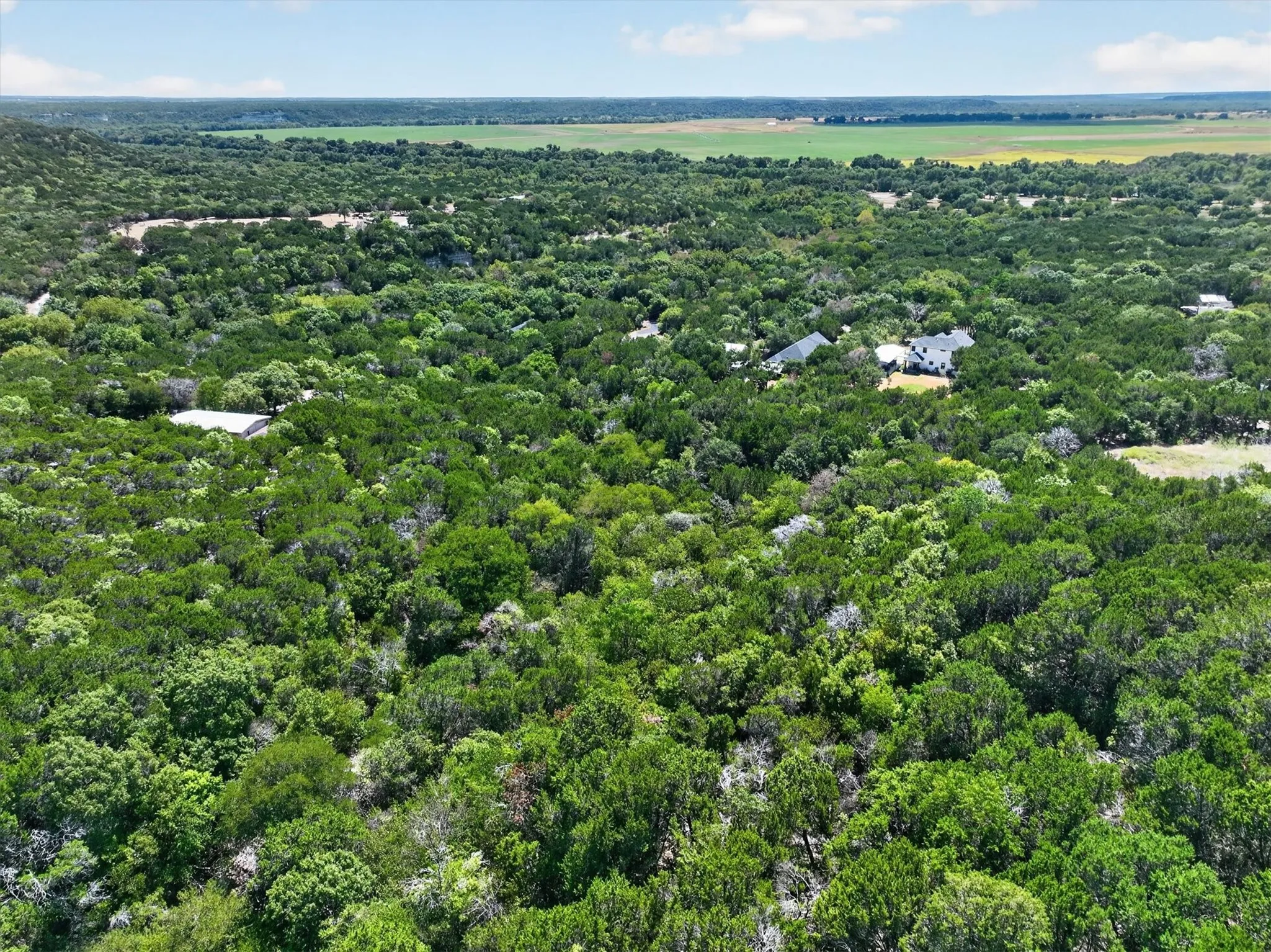 Expansive natural landscape featuring lush, dense tree cover and a winding river