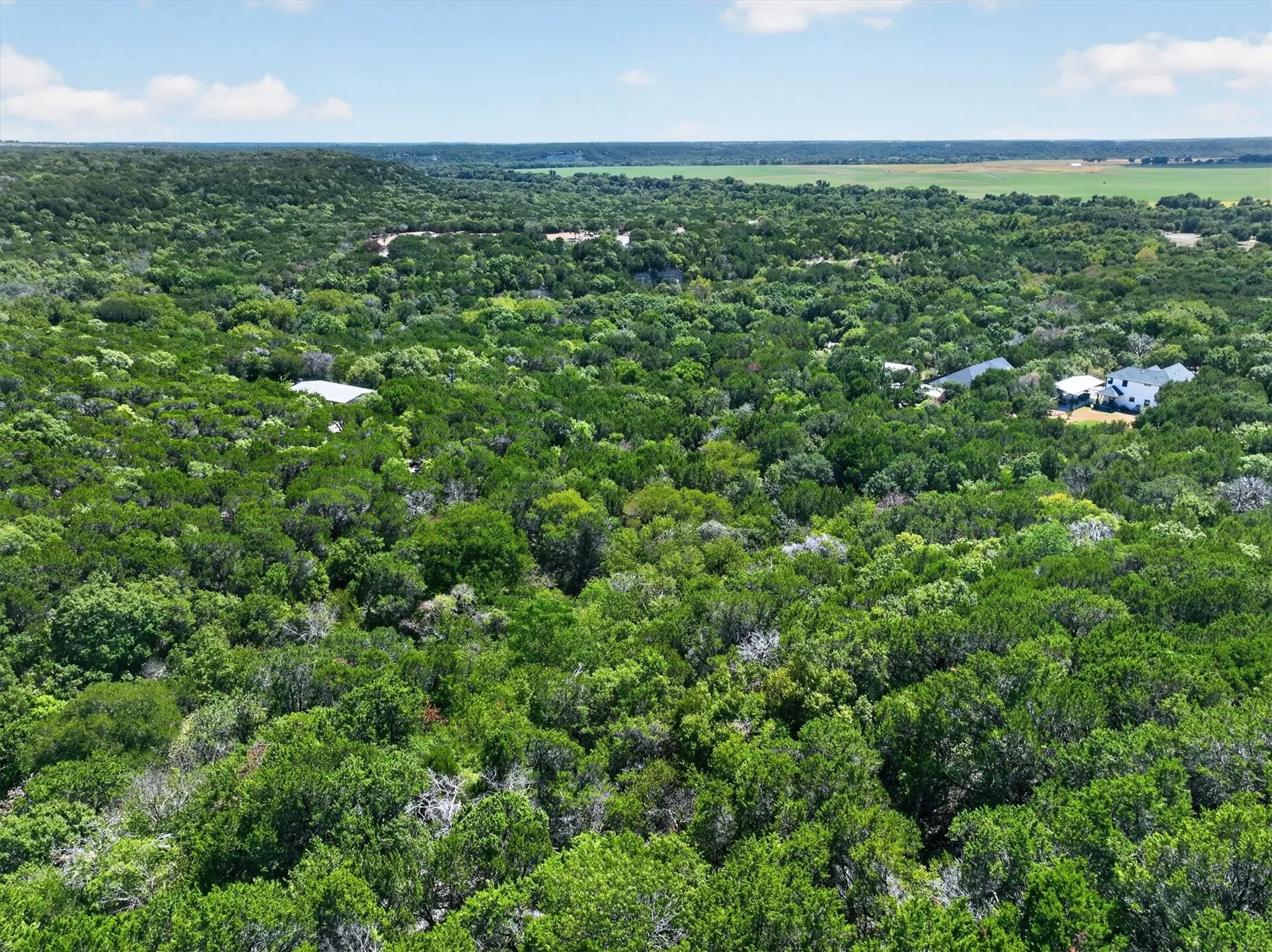 Expansive wooded landscape featuring mature trees and distant structures