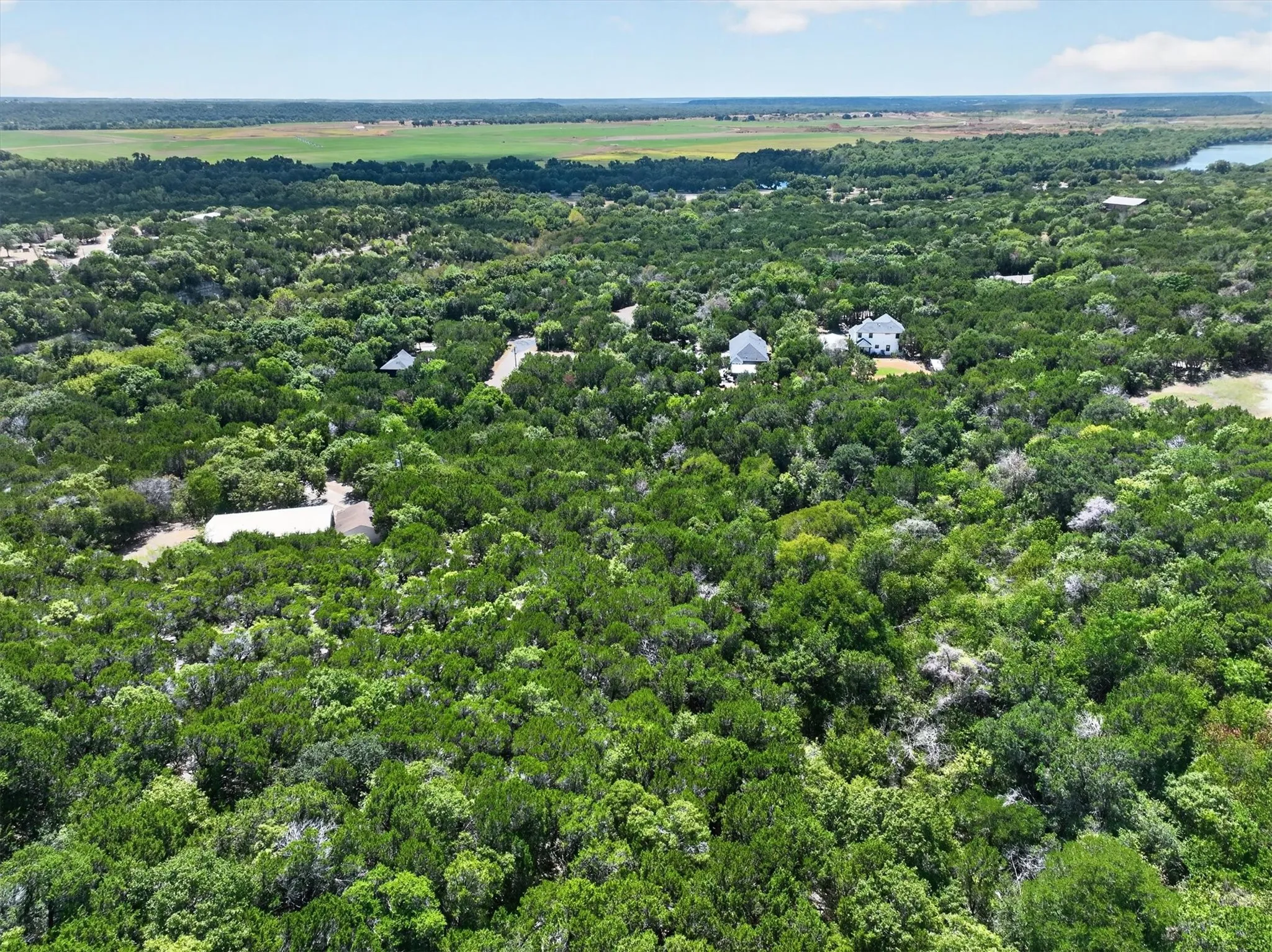 Expansive treed landscape with residential structures and a distant body of water