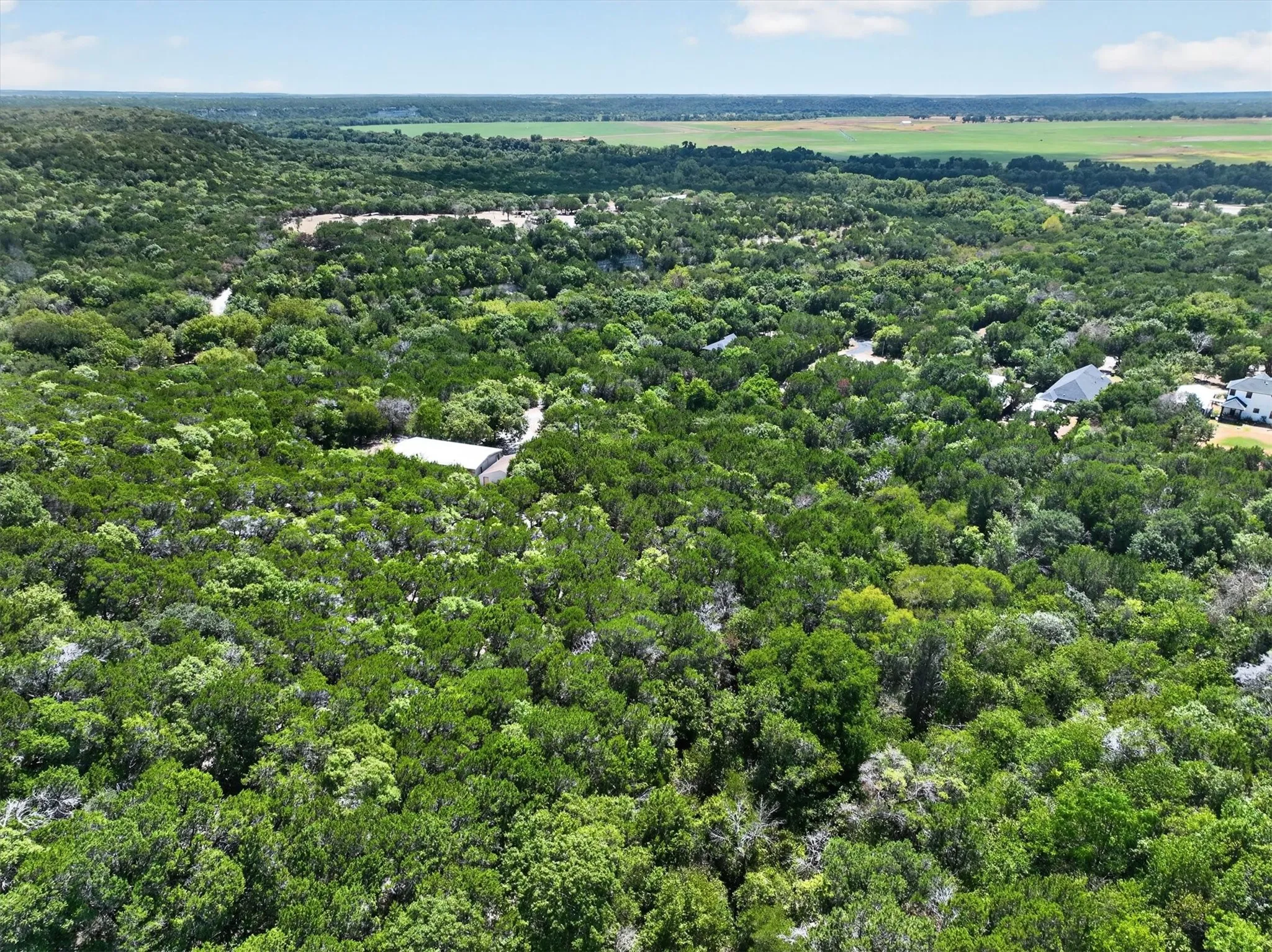 Expansive wooded landscape with a winding road and distant open fields