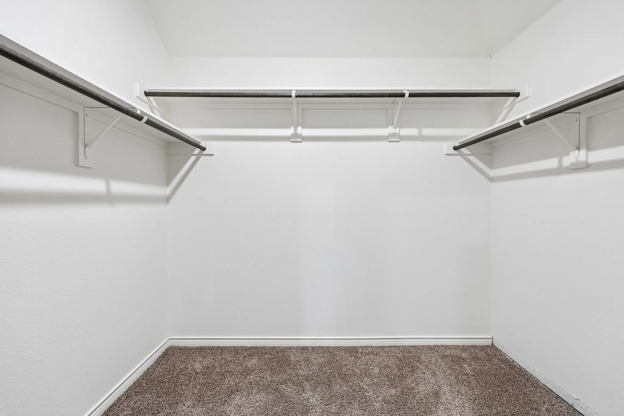 Walk-in closet with textured walls, built-in shelving, and carpet flooring
