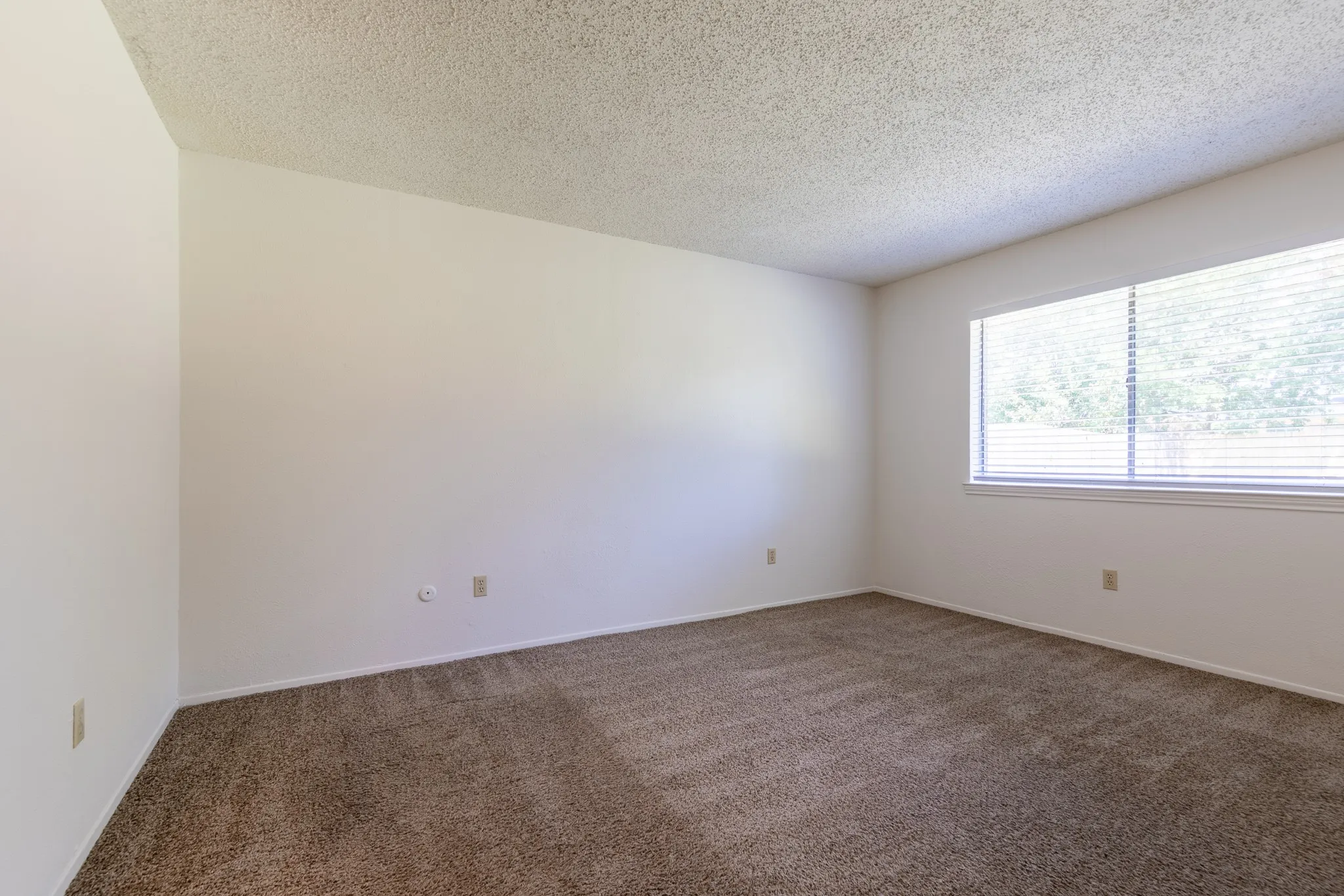 Single Family Residence For Rent in Tarrant County , 209 Pebblebrook Street, Arlington, Texas 76014, 3 Bedroom, 2 Bathroom, 2 Garage spaces, 1,626 Sqft, built in 1975, mls#21375597, Real Estate Agent in Arlington, Homes For Rent in Tarrant county, Homes For Rent in Arlington, Realtor in Arlington Texas, Real Estate Brokerage Independent Realty Texas, Luminita Cordes Realtor