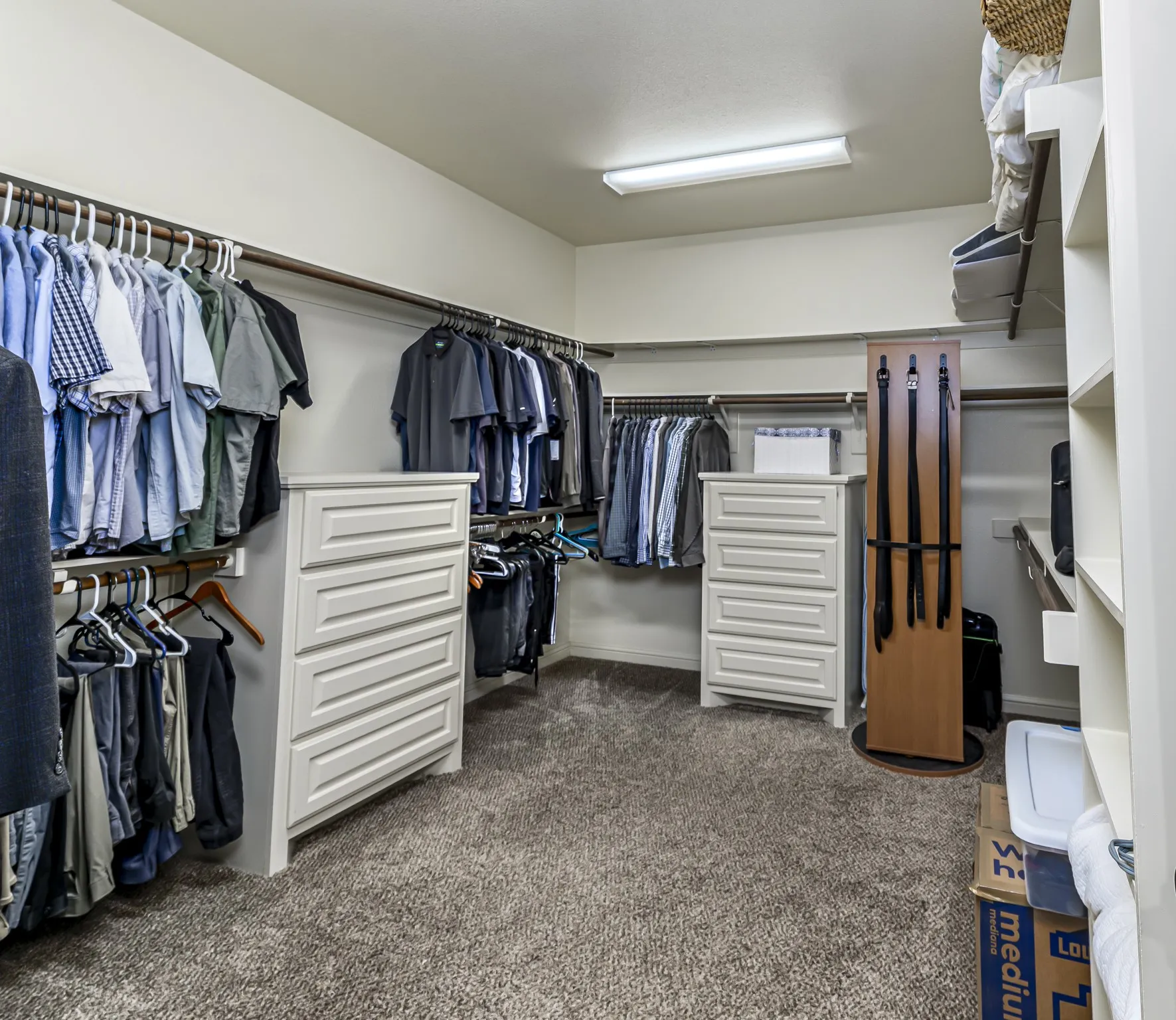 Spacious walk-in closet featuring carpet flooring, built-in shelving, multiple hanging rods, and two built-in drawer units