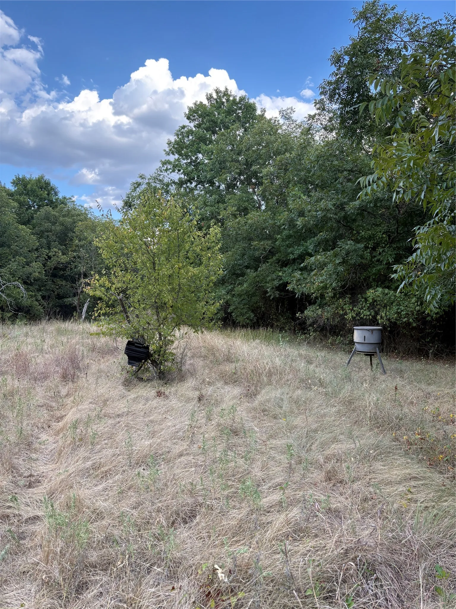 Unimproved Land For Sale in Jack County , 271 Wyatt Road, Jacksboro, Texas 76458, 0, 0, Garage spaces, 0 Sqft, built in 0, mls#21351939, Real Estate Agent in Jacksboro, Homes For Sale in Jack county, Homes For Sale in Jacksboro, Realtor in Jacksboro Texas, Real Estate Brokerage Independent Realty Texas, Luminita Cordes Realtor