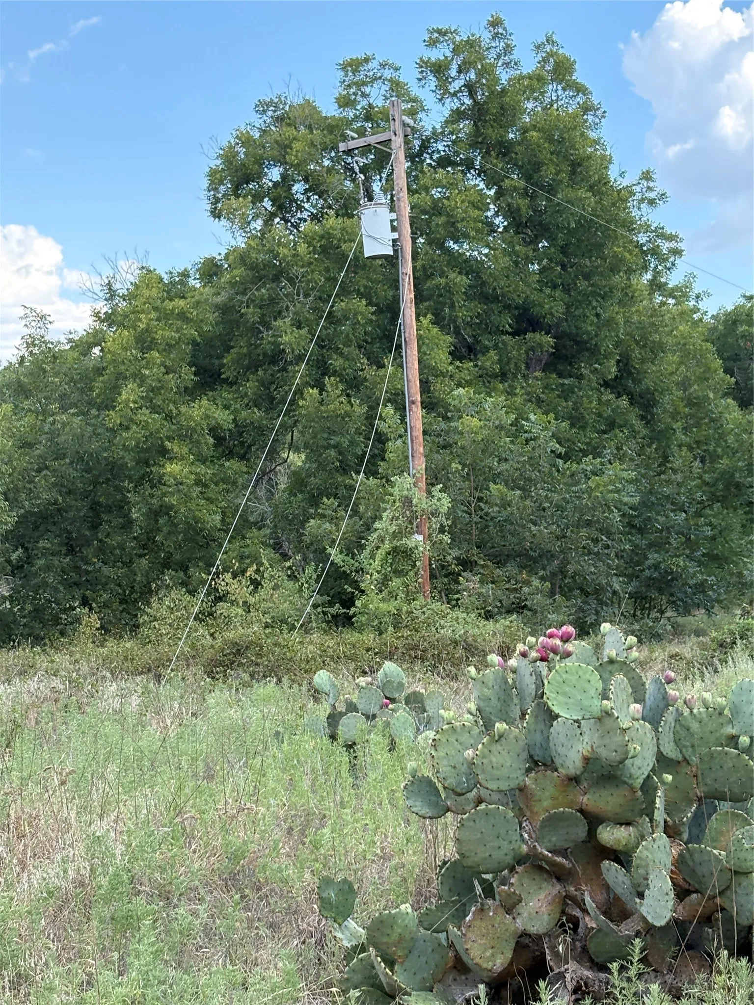 Unimproved Land For Sale in Jack County , 271 Wyatt Road, Jacksboro, Texas 76458, 0, 0, Garage spaces, 0 Sqft, built in 0, mls#21351939, Real Estate Agent in Jacksboro, Homes For Sale in Jack county, Homes For Sale in Jacksboro, Realtor in Jacksboro Texas, Real Estate Brokerage Independent Realty Texas, Luminita Cordes Realtor