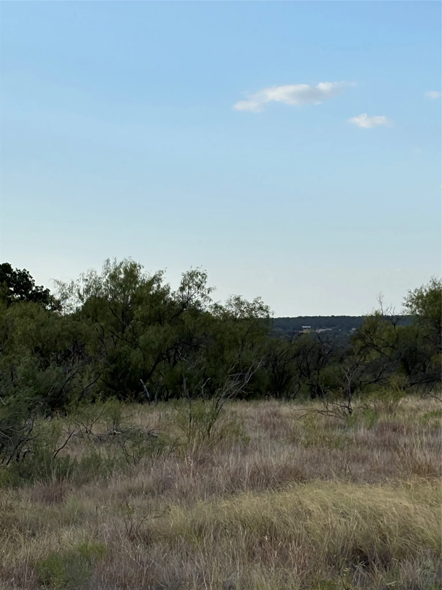 Unimproved Land For Sale in Jack County , 271 Wyatt Road, Jacksboro, Texas 76458, 0, 0, Garage spaces, 0 Sqft, built in 0, mls#21351939, Real Estate Agent in Jacksboro, Homes For Sale in Jack county, Homes For Sale in Jacksboro, Realtor in Jacksboro Texas, Real Estate Brokerage Independent Realty Texas, Luminita Cordes Realtor