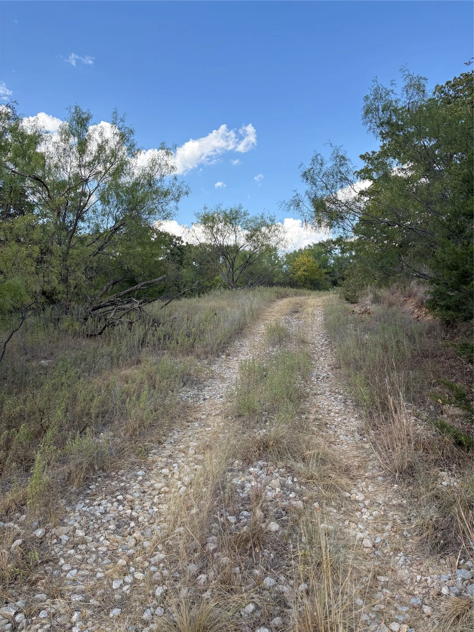 Unimproved Land For Sale in Jack County , 271 Wyatt Road, Jacksboro, Texas 76458, 0, 0, Garage spaces, 0 Sqft, built in 0, mls#21351939, Real Estate Agent in Jacksboro, Homes For Sale in Jack county, Homes For Sale in Jacksboro, Realtor in Jacksboro Texas, Real Estate Brokerage Independent Realty Texas, Luminita Cordes Realtor