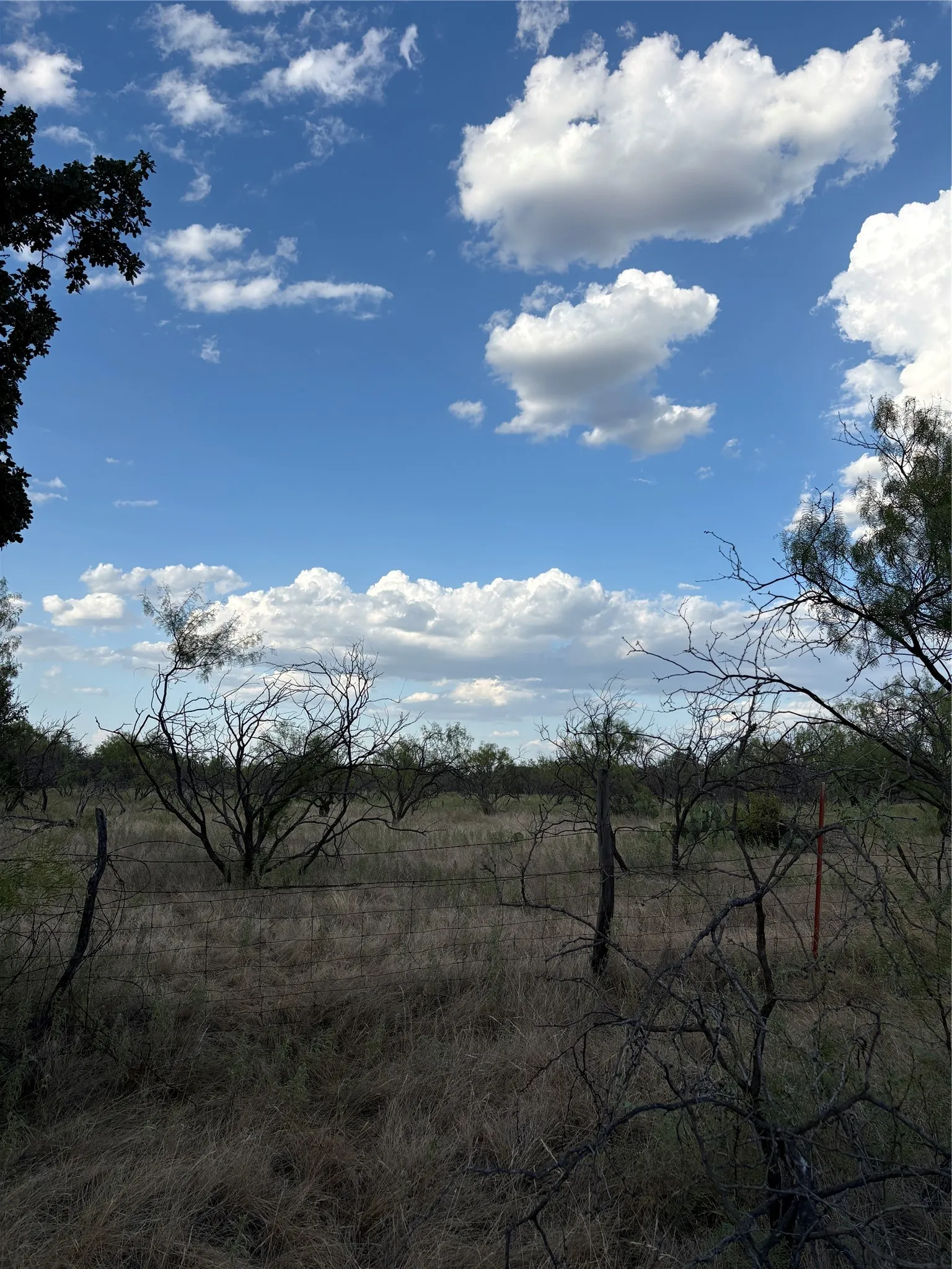Expansive open land featuring natural vegetation and a clear sky with clouds