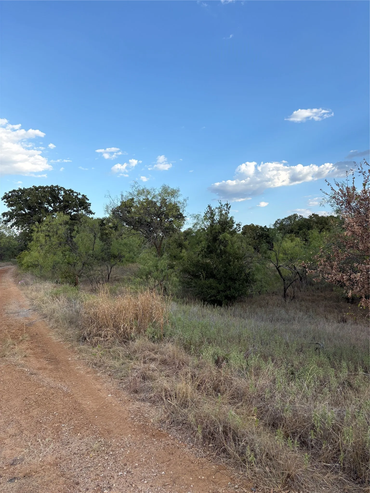 Unimproved Land For Sale in Jack County , 271 Wyatt Road, Jacksboro, Texas 76458, 0, 0, Garage spaces, 0 Sqft, built in 0, mls#21351939, Real Estate Agent in Jacksboro, Homes For Sale in Jack county, Homes For Sale in Jacksboro, Realtor in Jacksboro Texas, Real Estate Brokerage Independent Realty Texas, Luminita Cordes Realtor