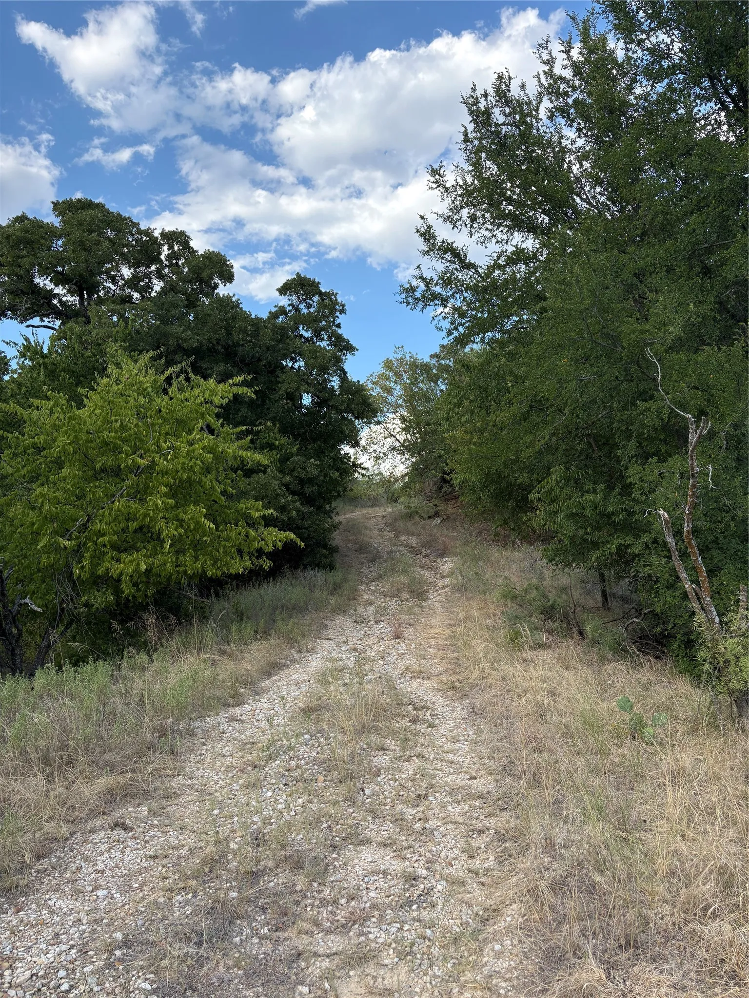 Unimproved Land For Sale in Jack County , 271 Wyatt Road, Jacksboro, Texas 76458, 0, 0, Garage spaces, 0 Sqft, built in 0, mls#21351939, Real Estate Agent in Jacksboro, Homes For Sale in Jack county, Homes For Sale in Jacksboro, Realtor in Jacksboro Texas, Real Estate Brokerage Independent Realty Texas, Luminita Cordes Realtor