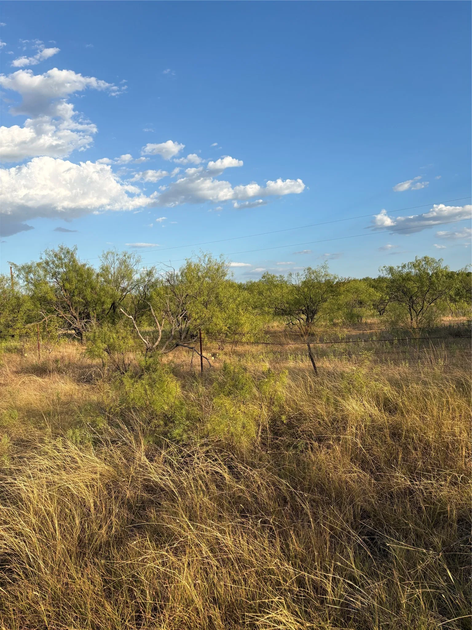 Expansive land featuring natural vegetation, mature shrubs, and open clearings