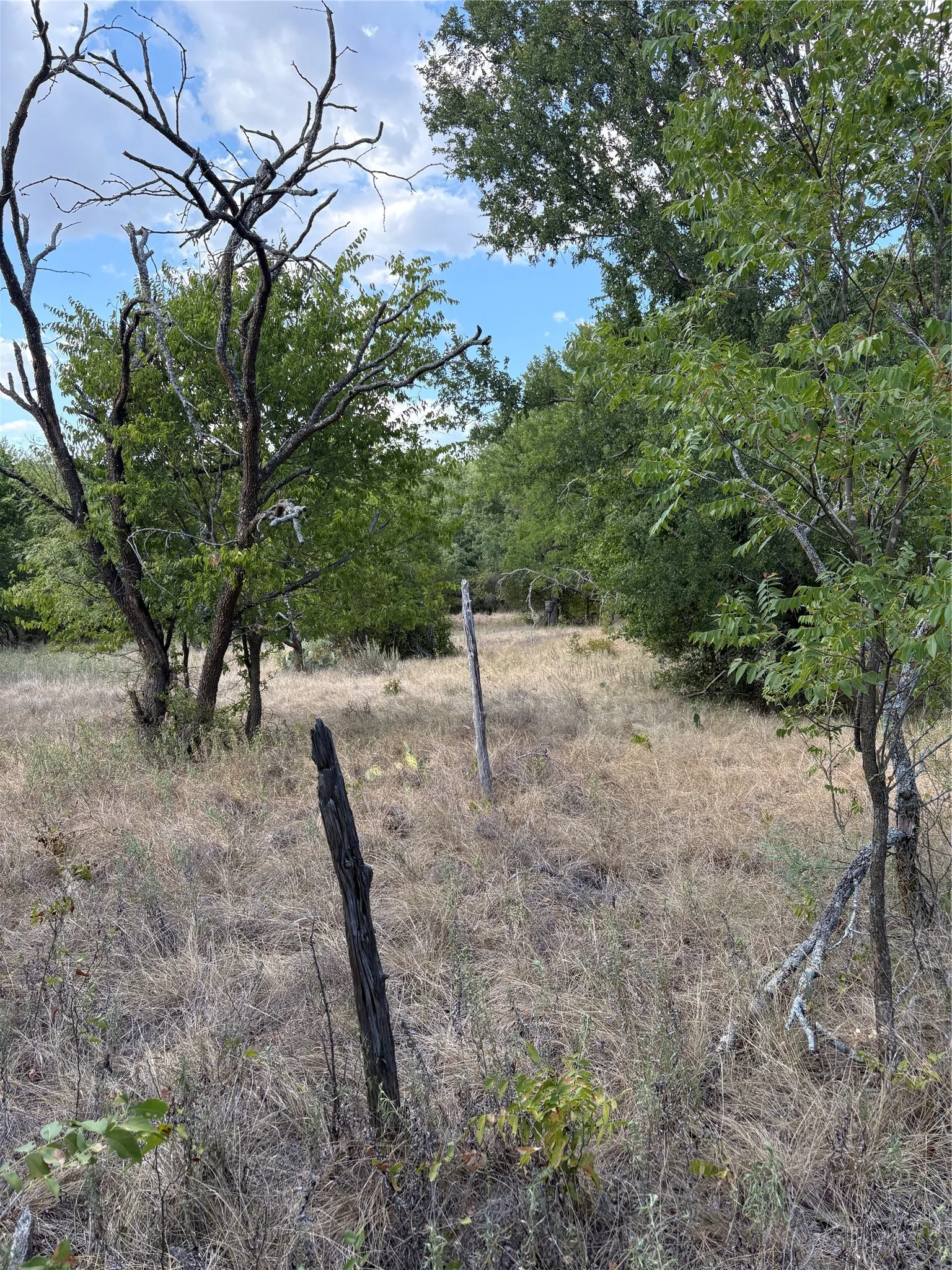Unimproved Land For Sale in Jack County , 271 Wyatt Road, Jacksboro, Texas 76458, 0, 0, Garage spaces, 0 Sqft, built in 0, mls#21351939, Real Estate Agent in Jacksboro, Homes For Sale in Jack county, Homes For Sale in Jacksboro, Realtor in Jacksboro Texas, Real Estate Brokerage Independent Realty Texas, Luminita Cordes Realtor
