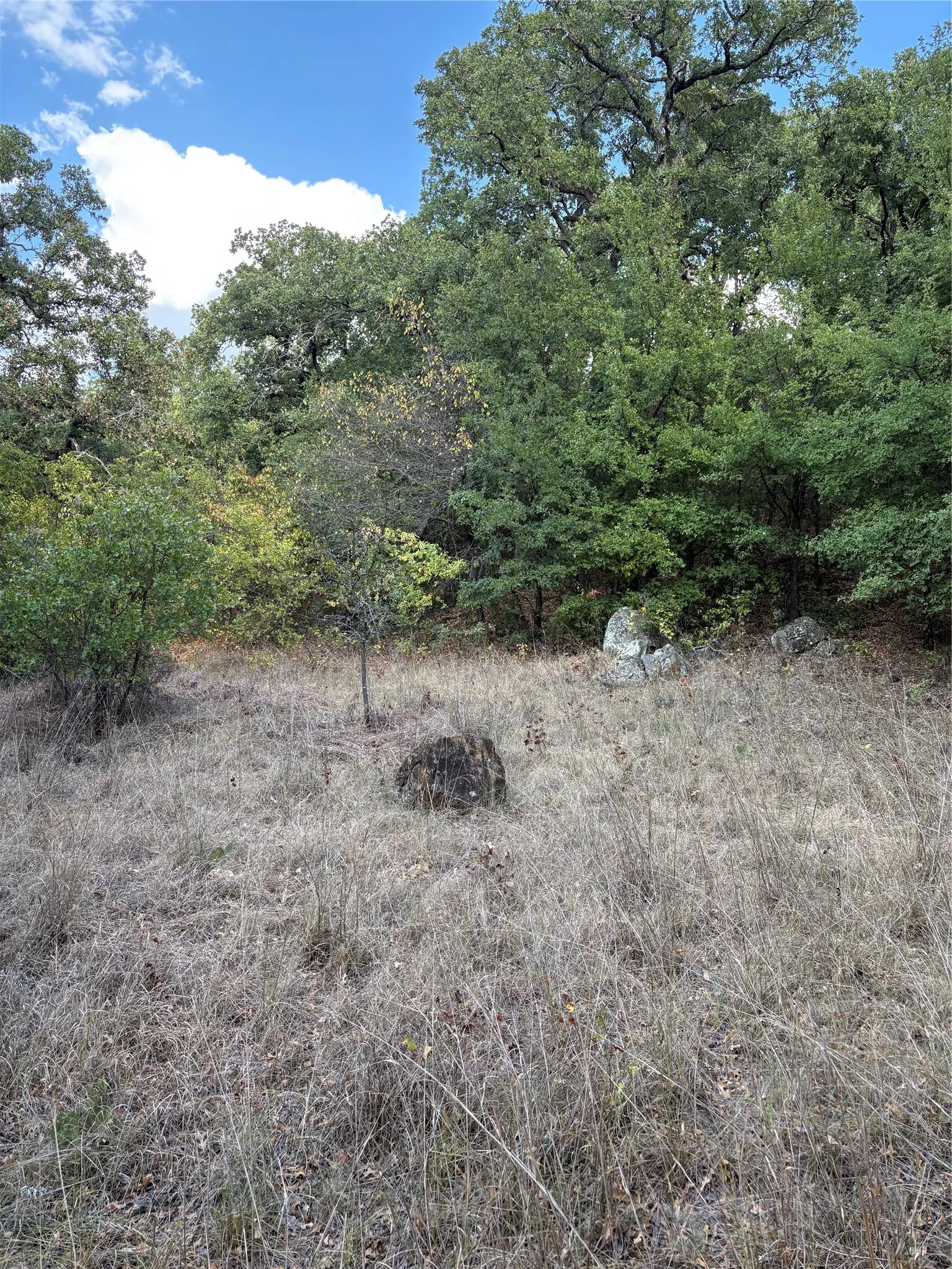 Unimproved Land For Sale in Jack County , 271 Wyatt Road, Jacksboro, Texas 76458, 0, 0, Garage spaces, 0 Sqft, built in 0, mls#21351939, Real Estate Agent in Jacksboro, Homes For Sale in Jack county, Homes For Sale in Jacksboro, Realtor in Jacksboro Texas, Real Estate Brokerage Independent Realty Texas, Luminita Cordes Realtor