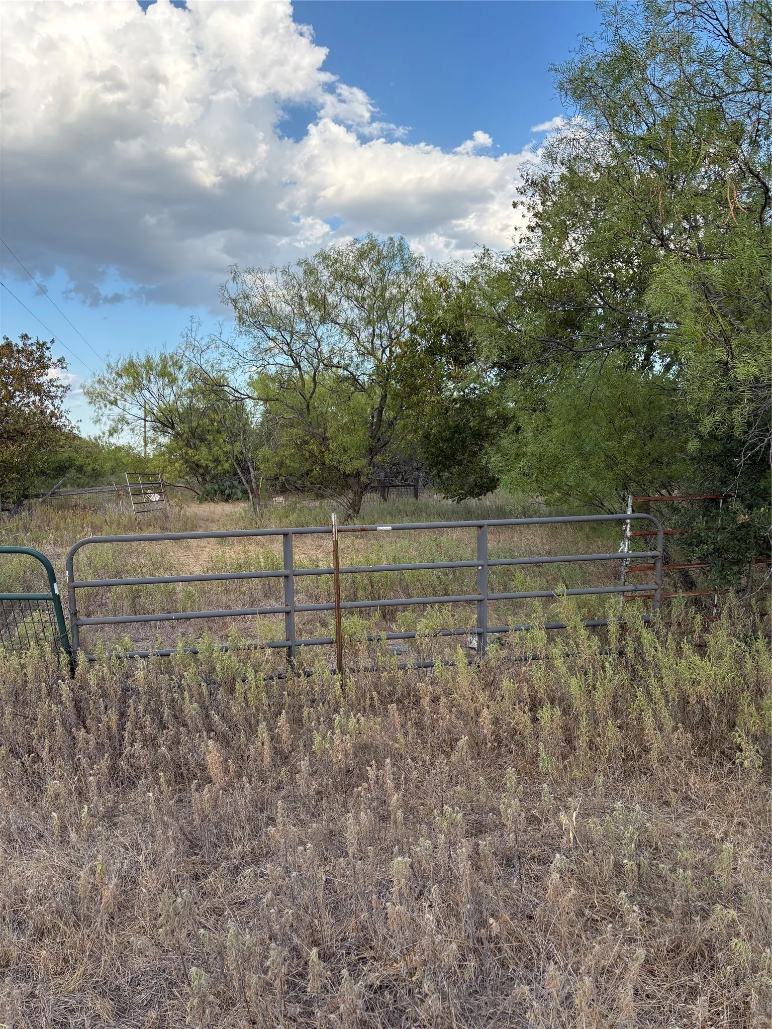 Unimproved Land For Sale in Jack County , 271 Wyatt Road, Jacksboro, Texas 76458, 0, 0, Garage spaces, 0 Sqft, built in 0, mls#21351939, Real Estate Agent in Jacksboro, Homes For Sale in Jack county, Homes For Sale in Jacksboro, Realtor in Jacksboro Texas, Real Estate Brokerage Independent Realty Texas, Luminita Cordes Realtor